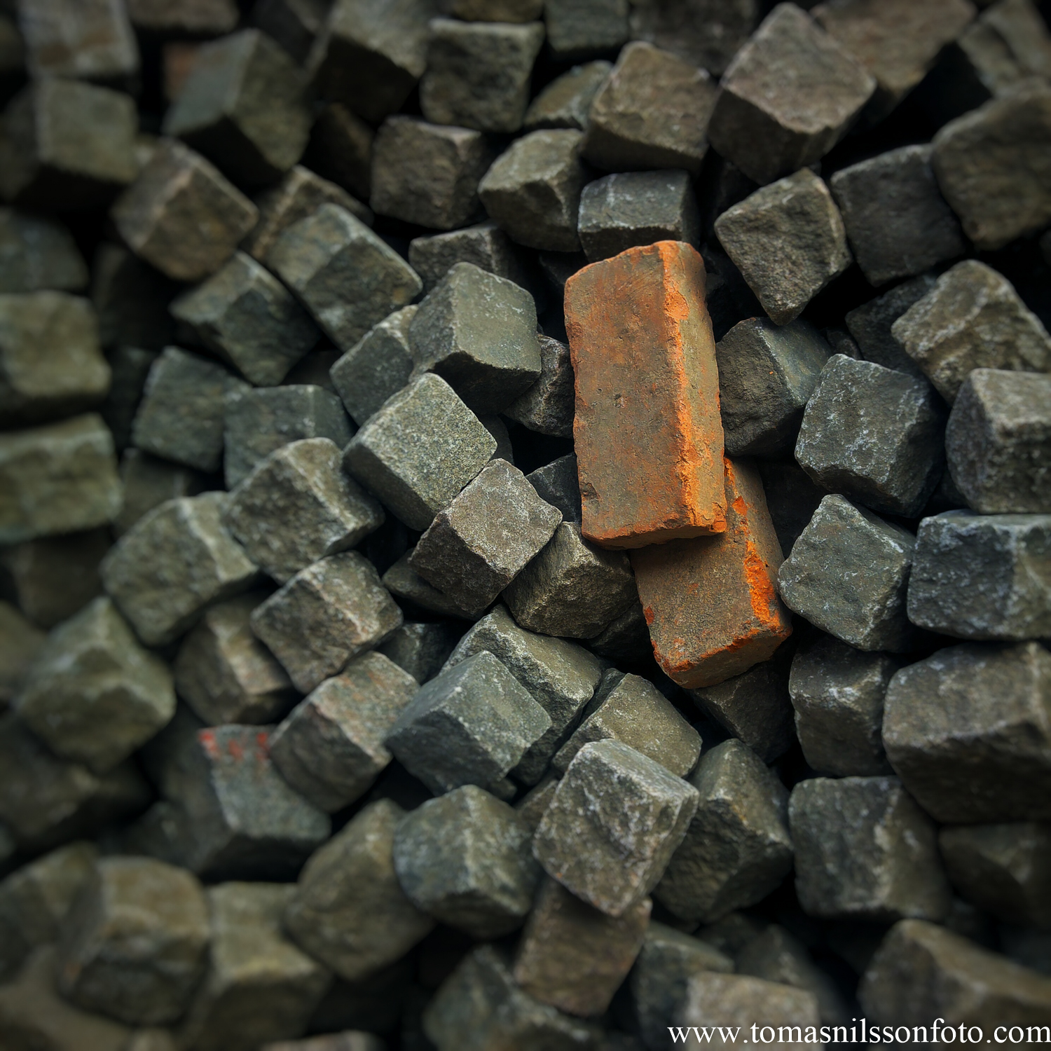 June 9 - Day 161: Just another brick in the pile...or two