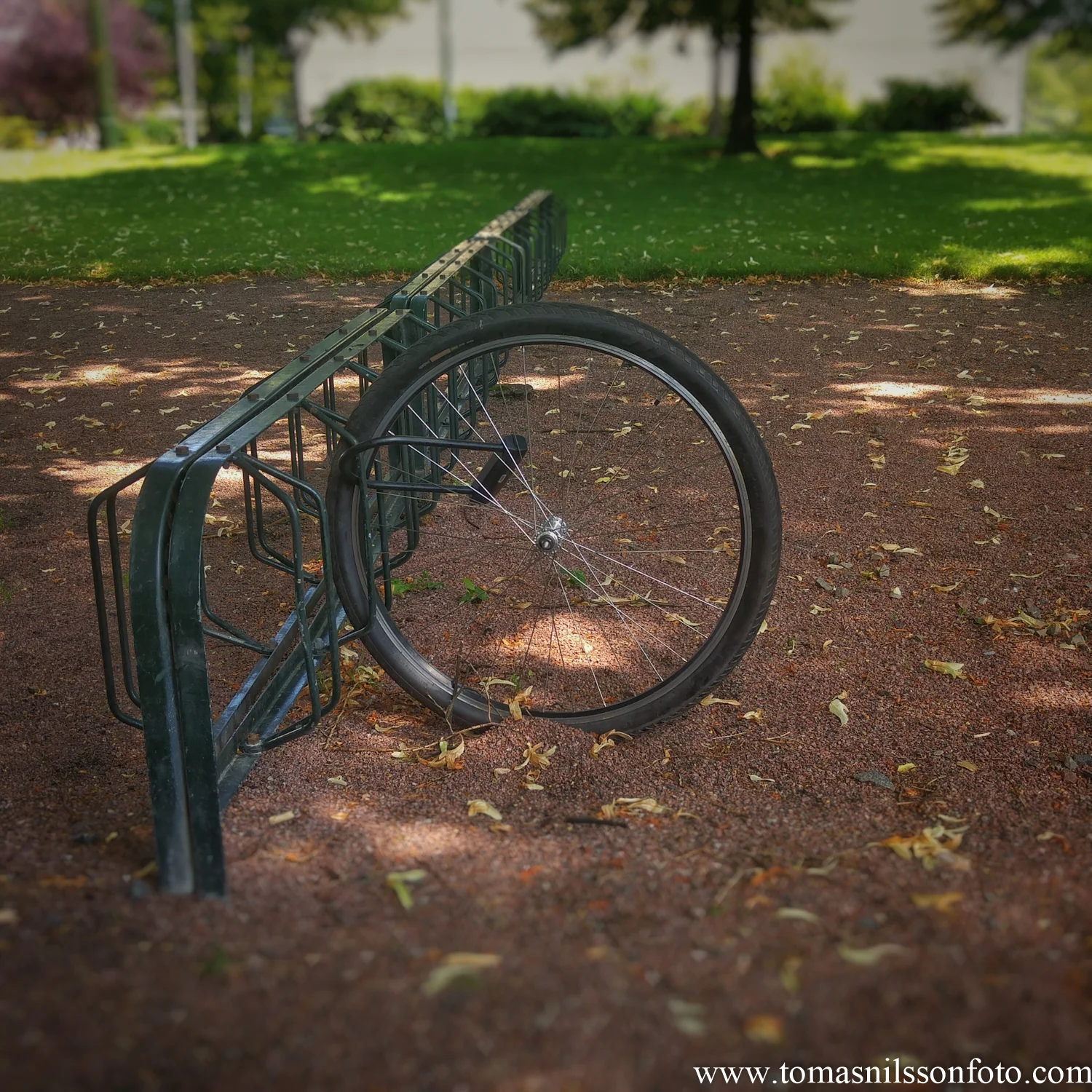 June 25 - Day 177: At least there is still a wheel...