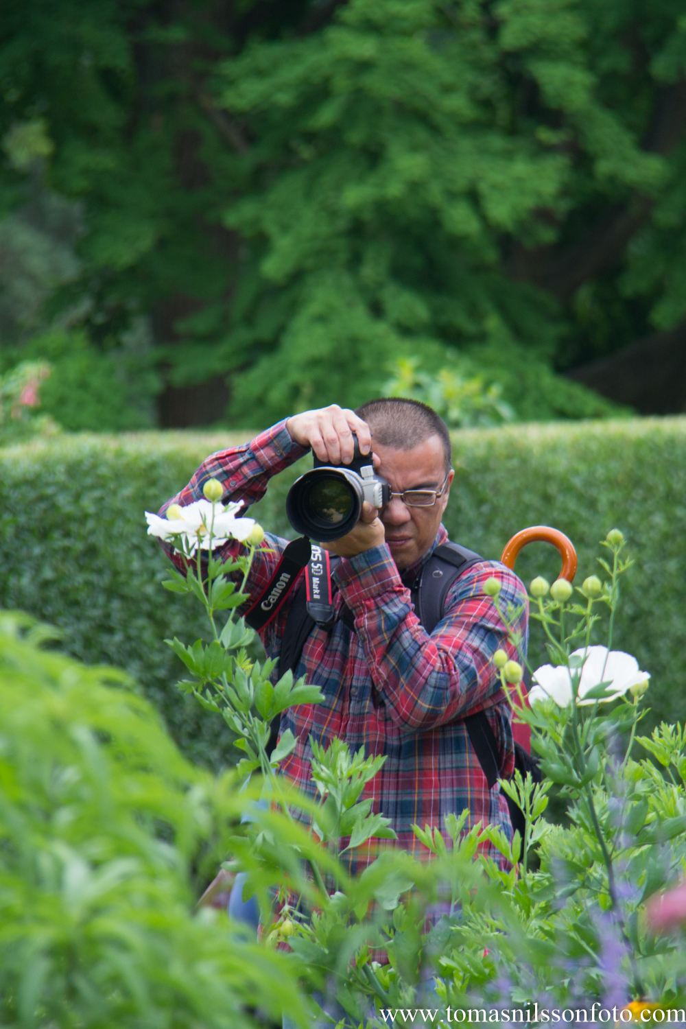Rei, our Facebook group "leader" in action.