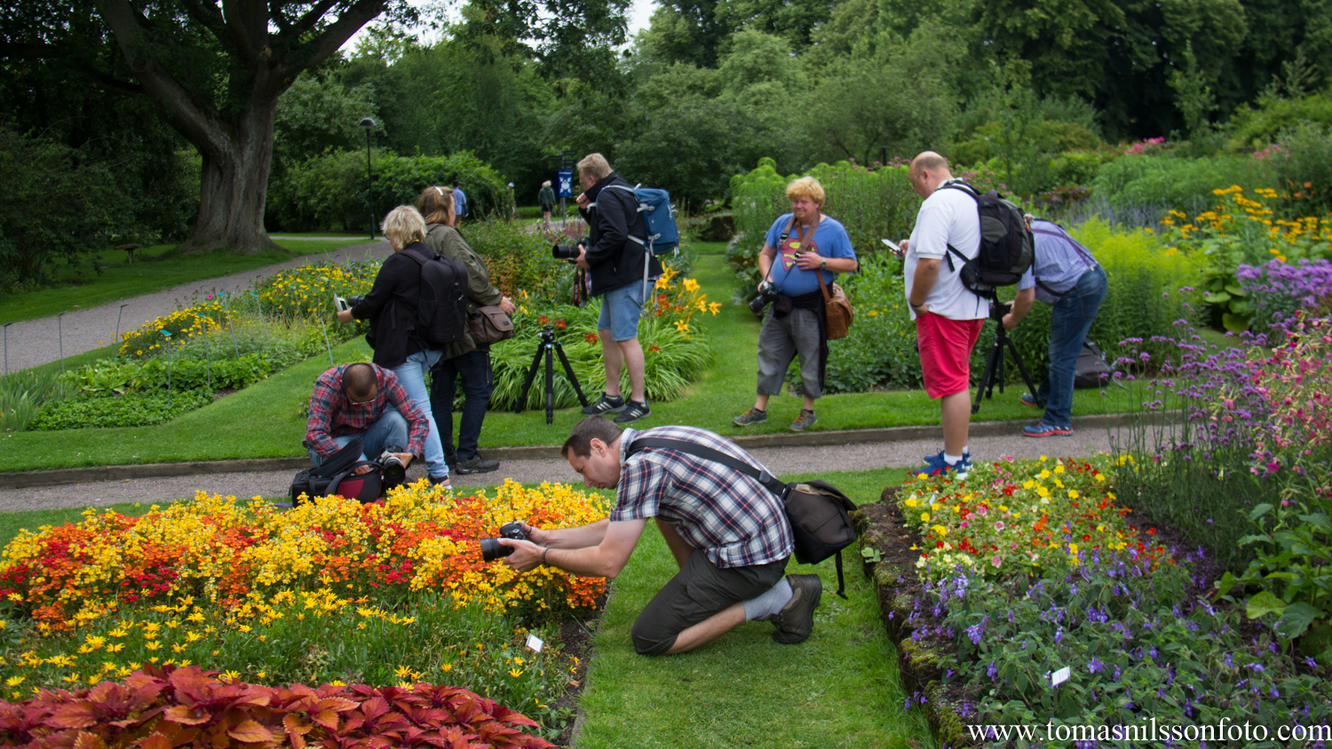 A lot of photographers right in the middle of the colorful stuff.
