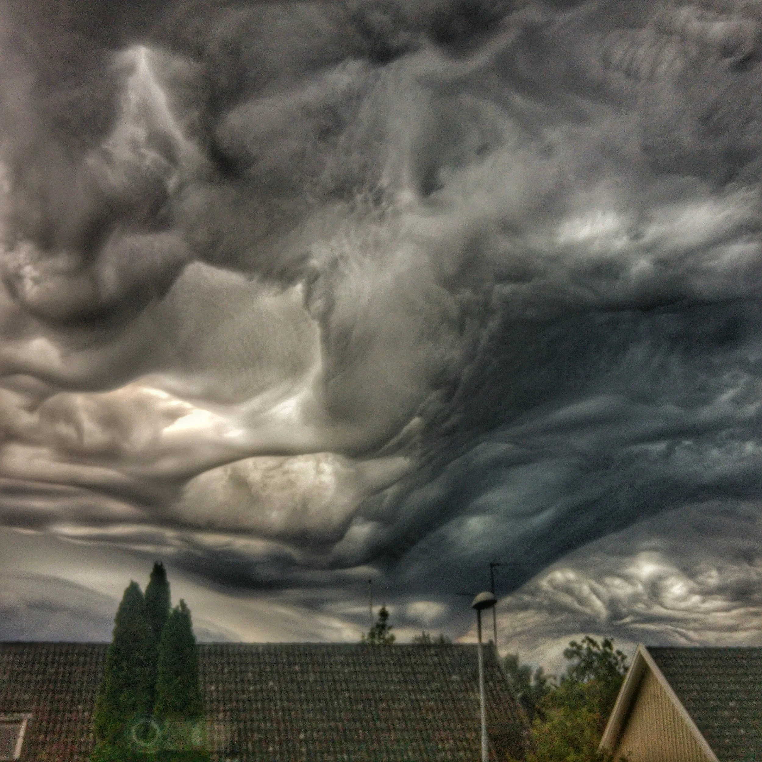 The 365 Project - August Wrap-Up