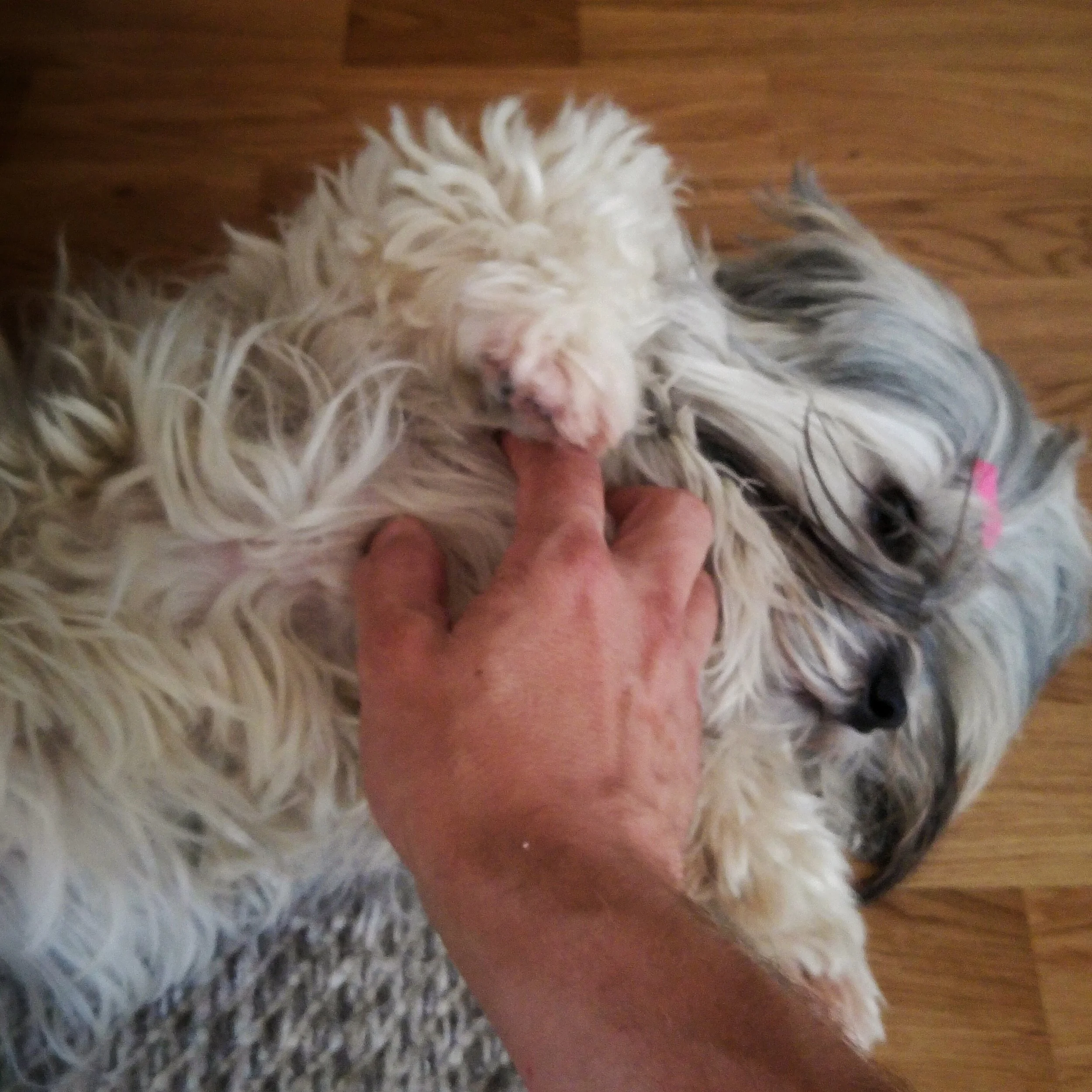 September 22 - Day 266: Belly needs scratches