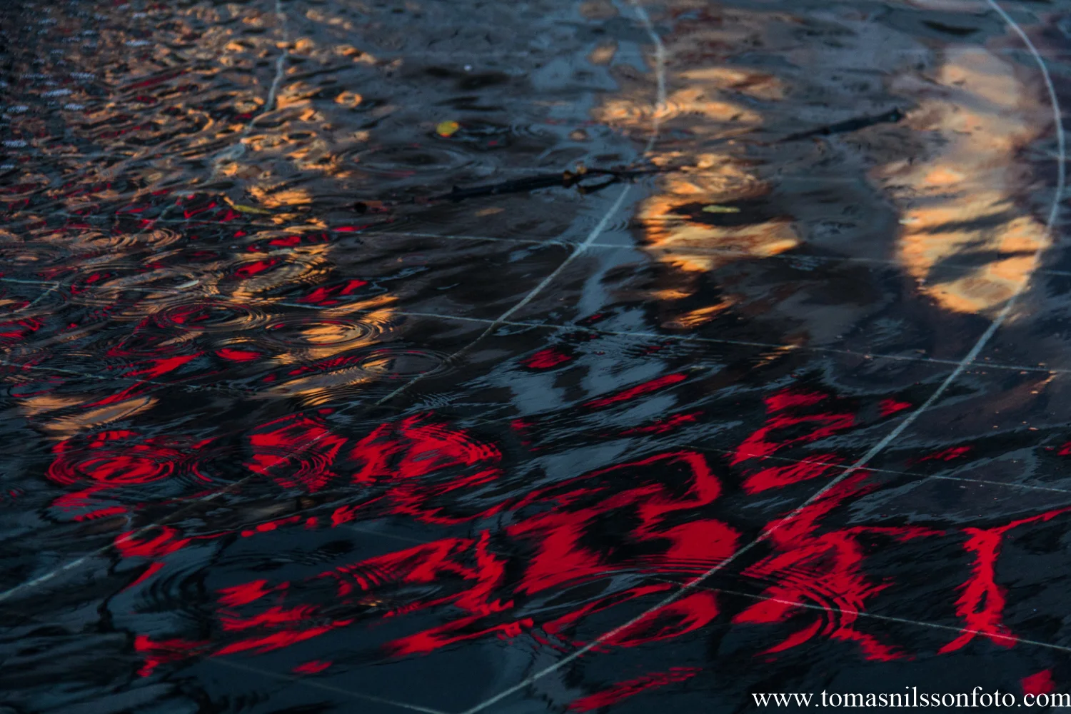 Night Photography Walk