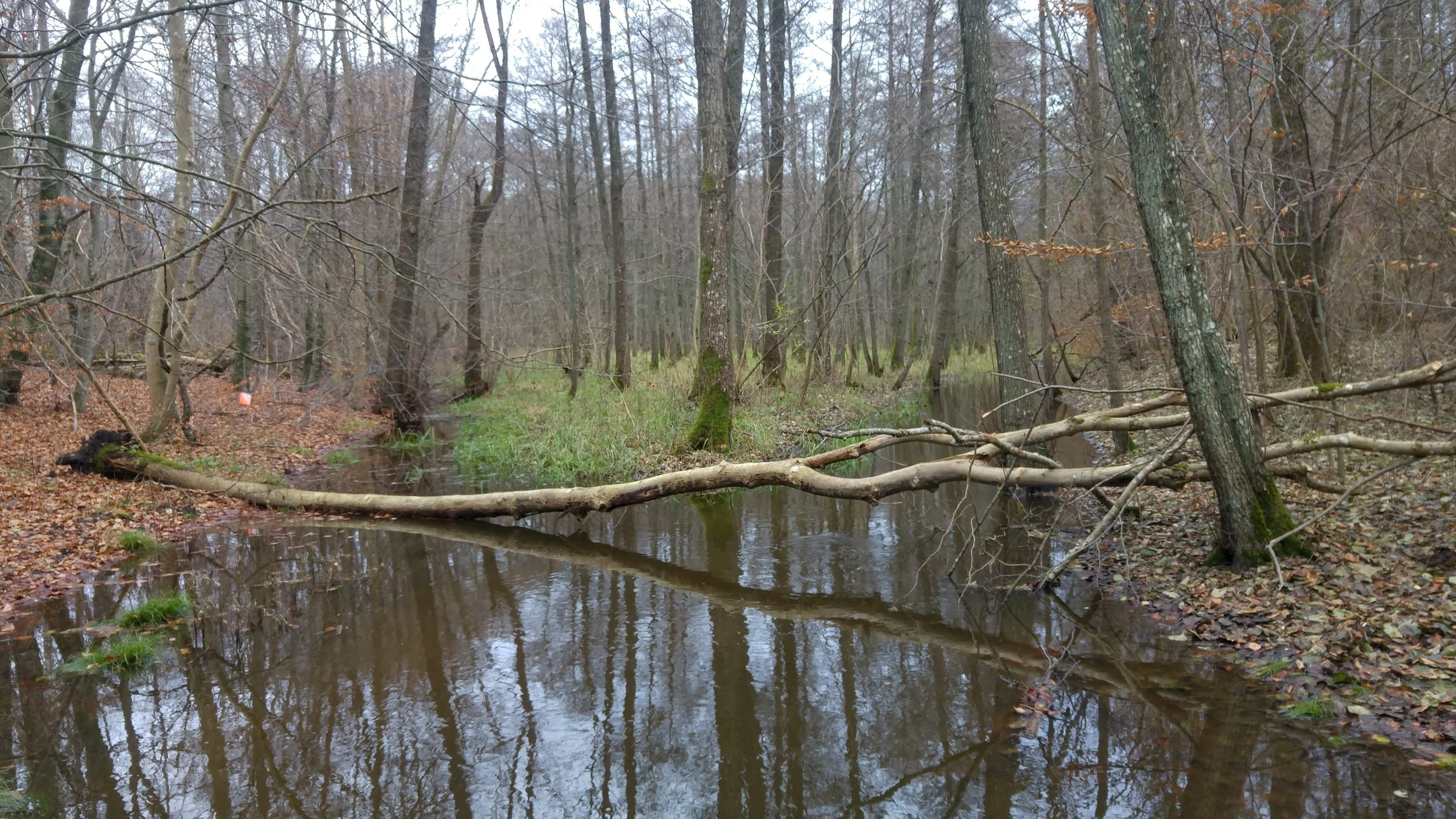 November is not a photo month