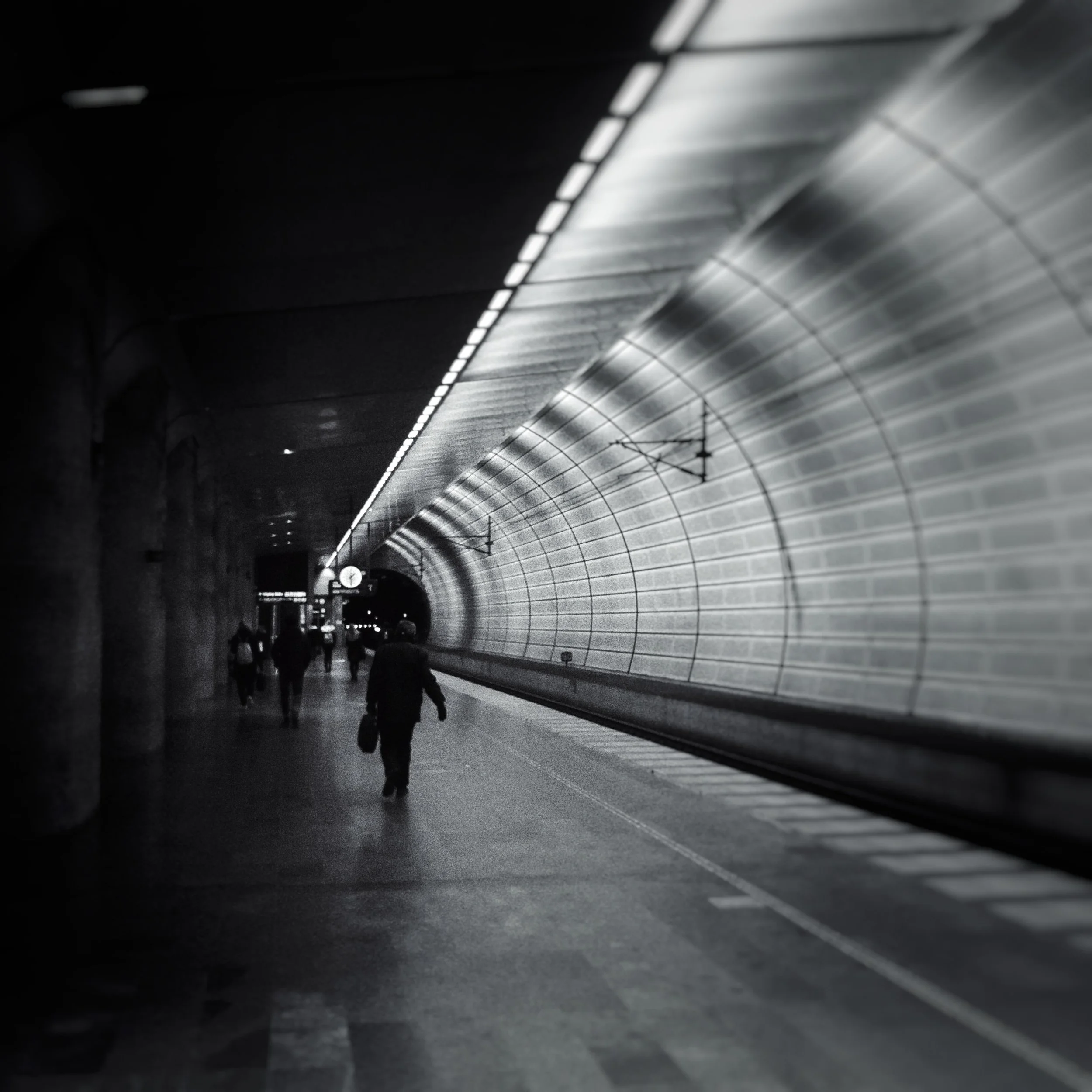 The 365 Project - November Wrap-Up