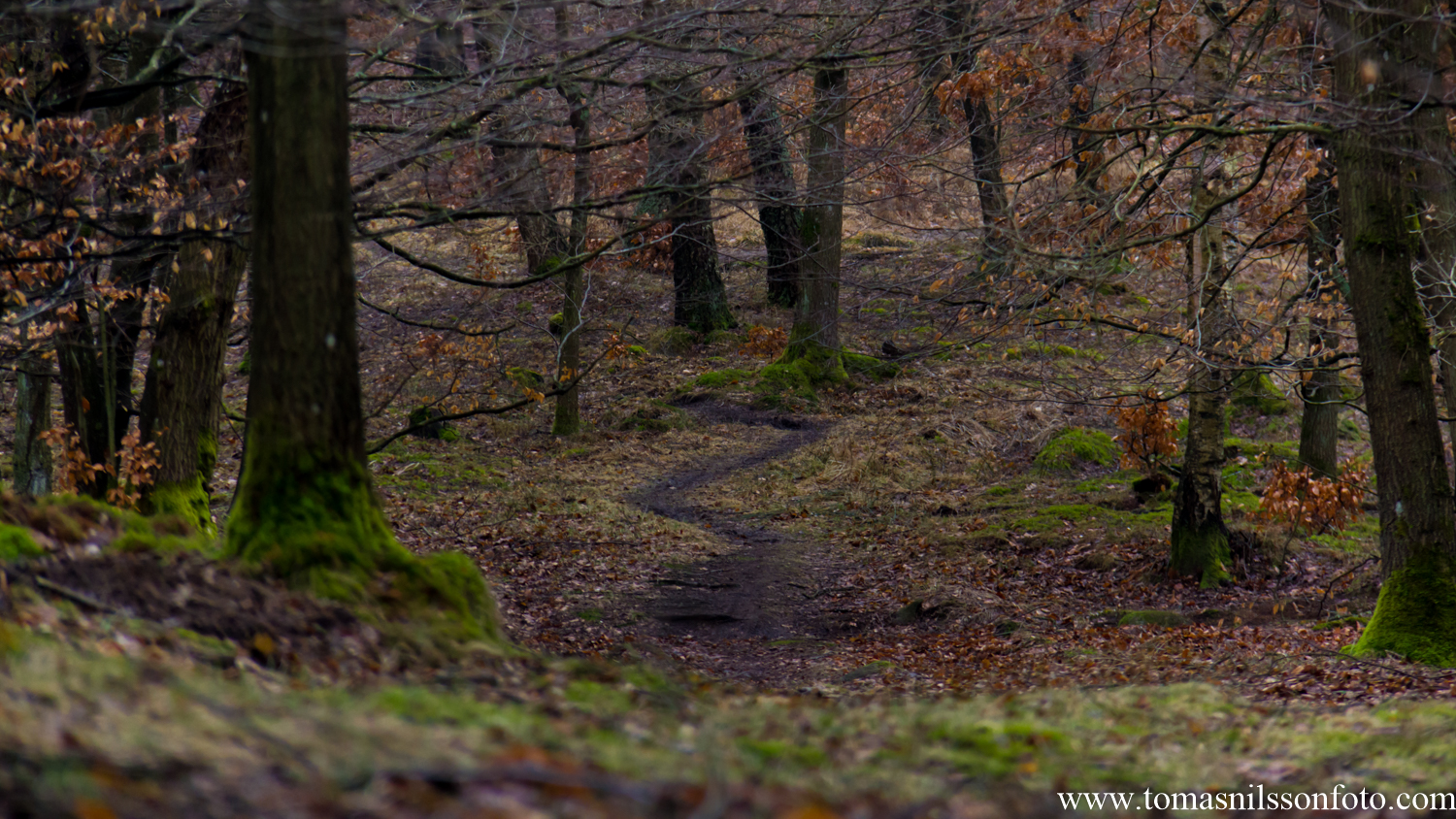 "The long and winding road"?