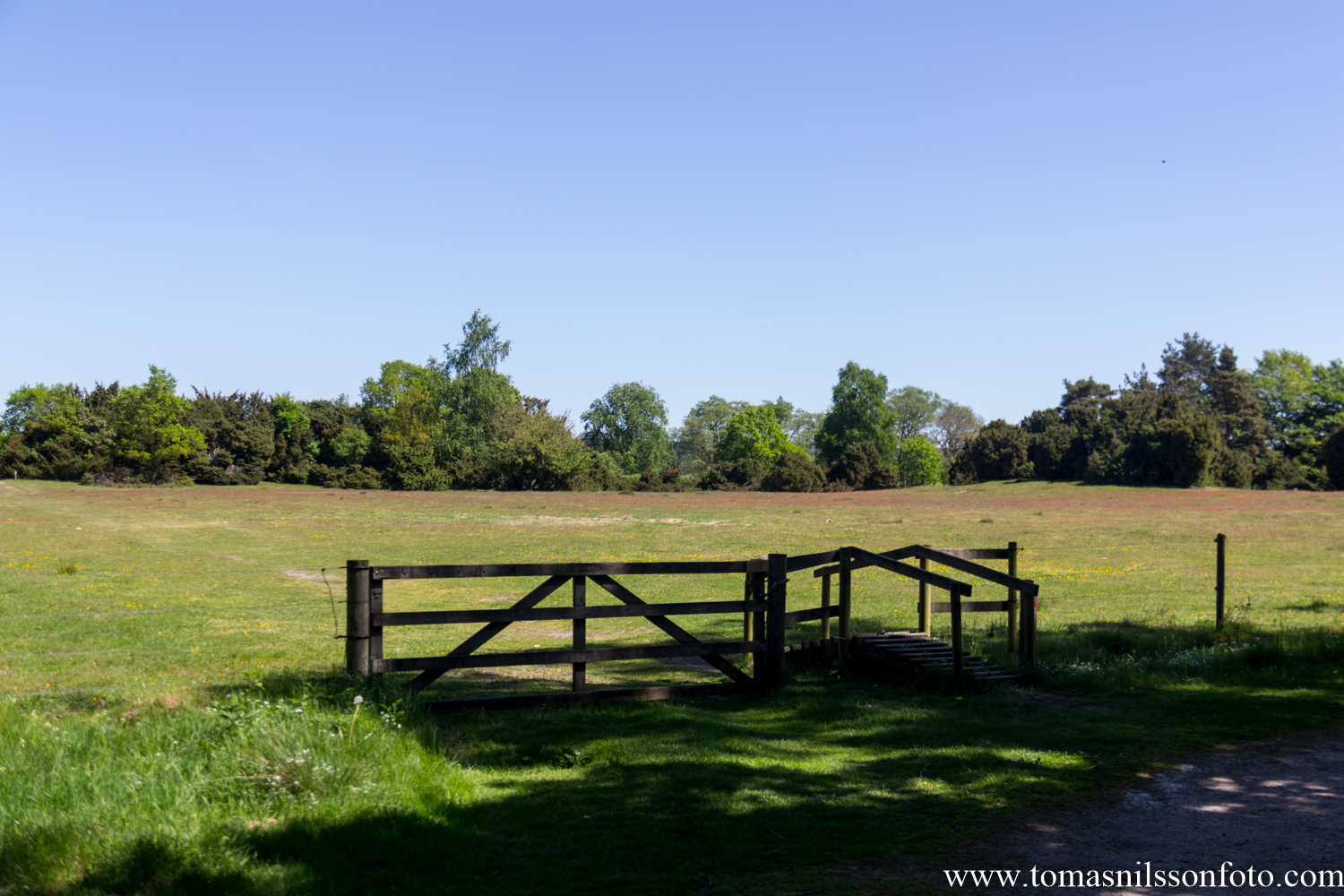 Into the meadow past the cattle obstacle...no cattle were seen though.