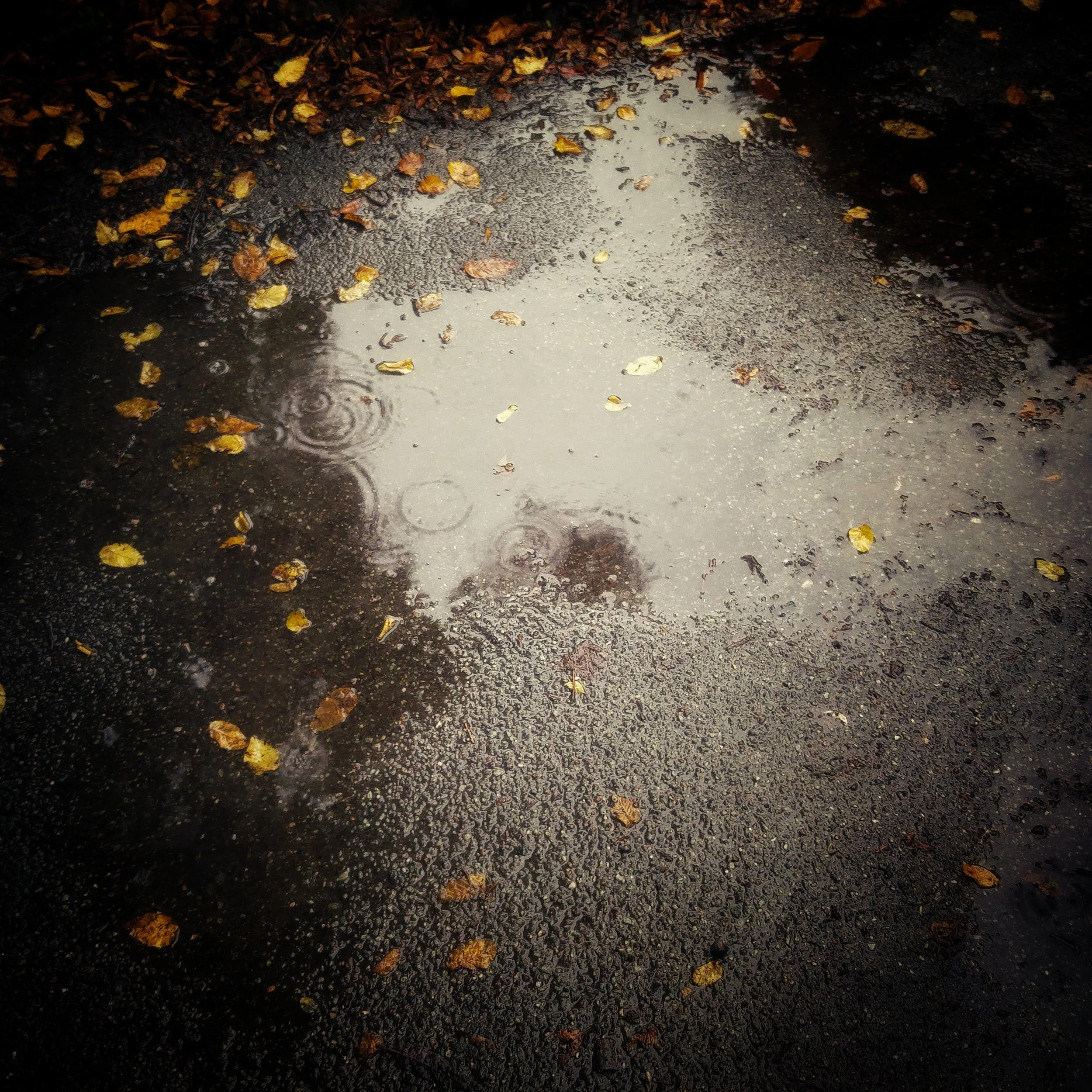 Does it always rain in Copenhagen?
