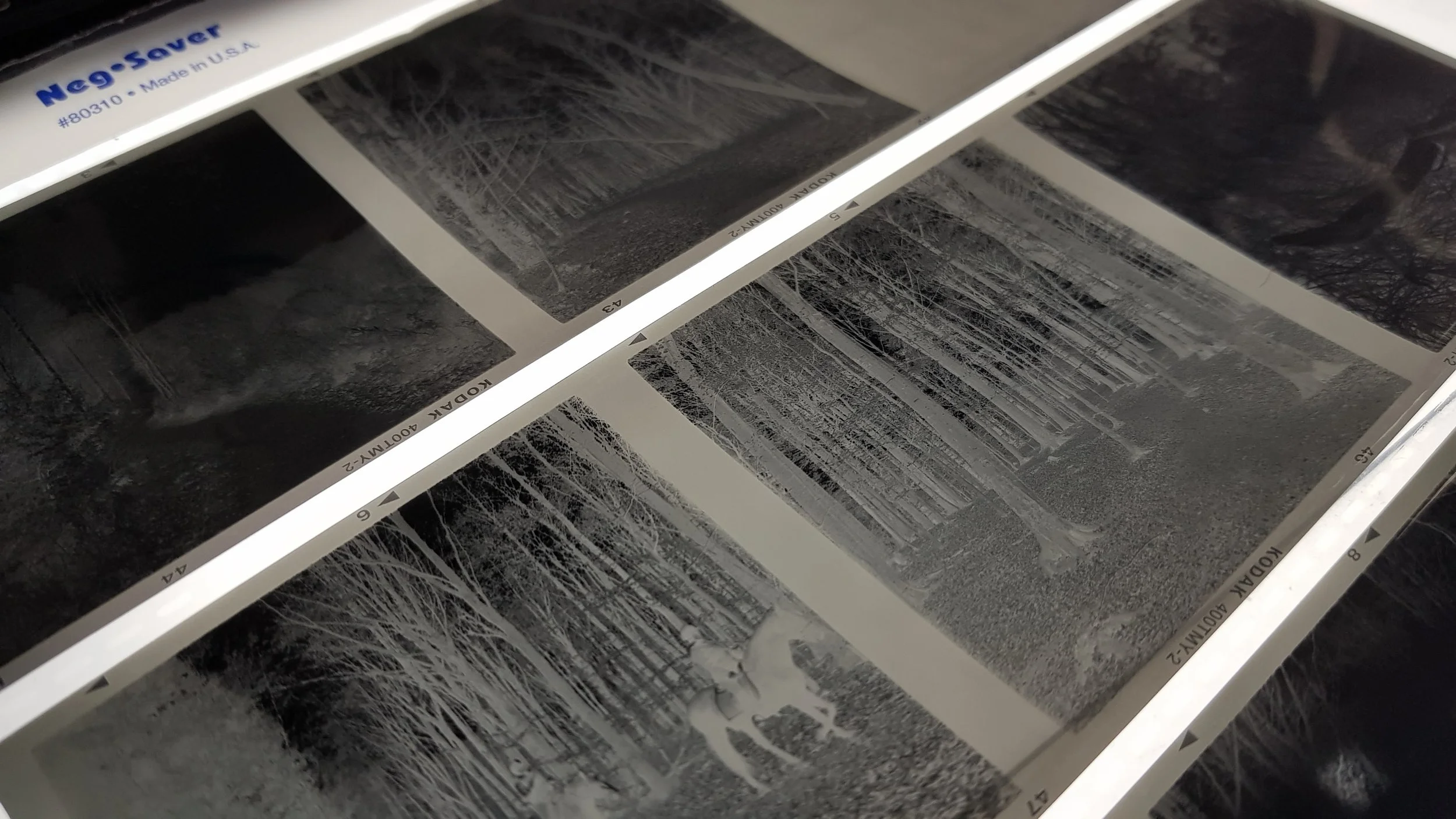 My negatives on the light table