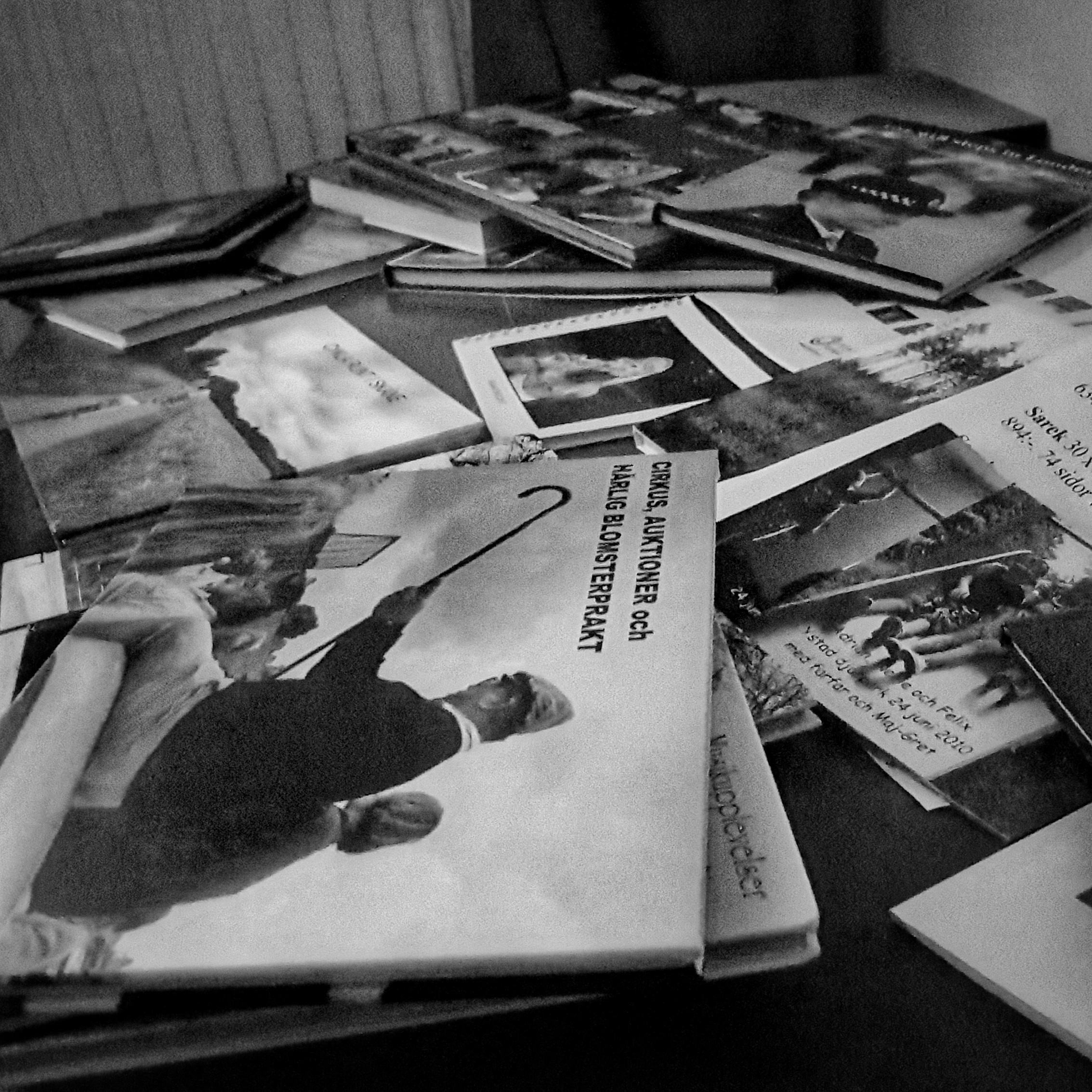 Day 29: January 29 - So many photobooks