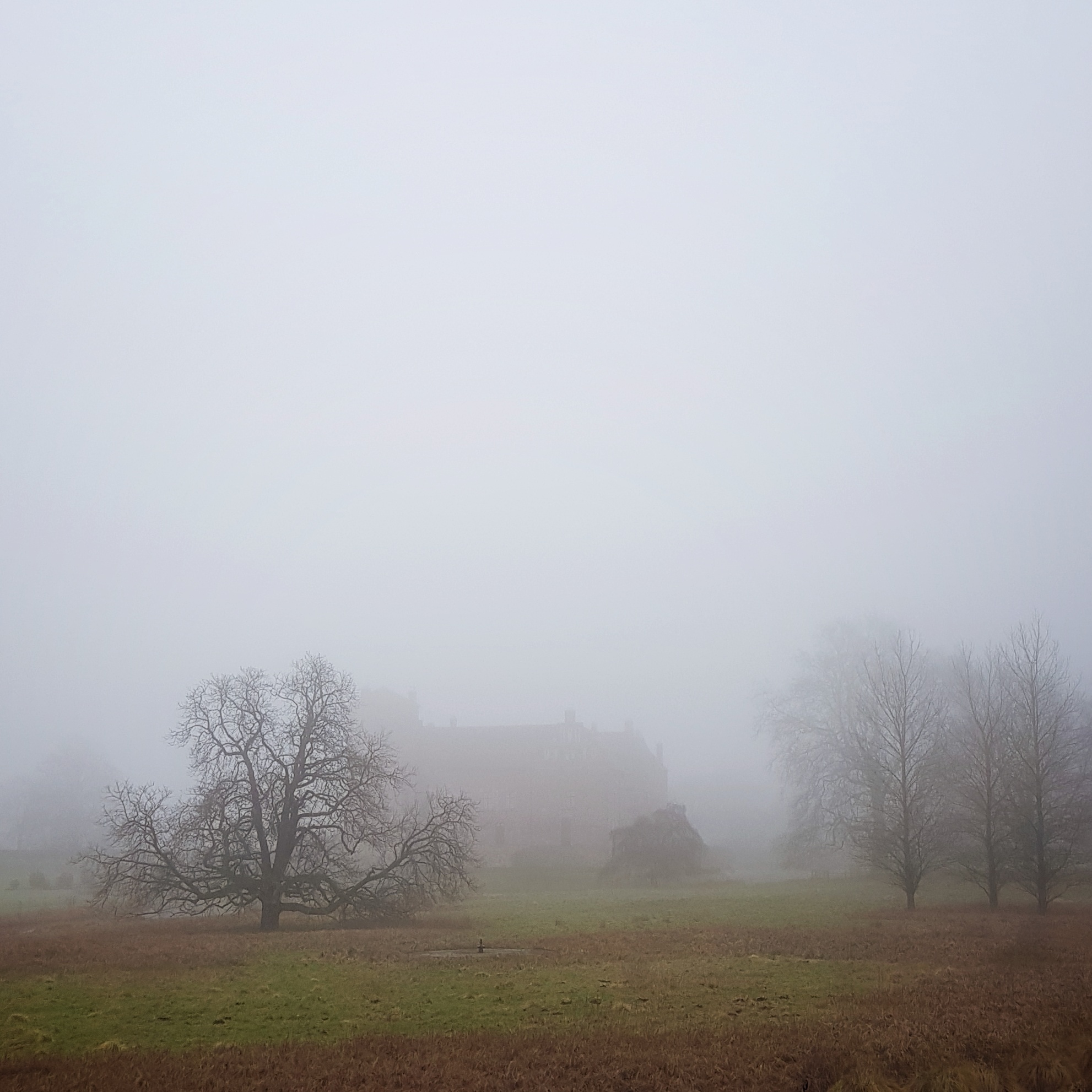 Day 31: January 31 - Castle in the Mist
