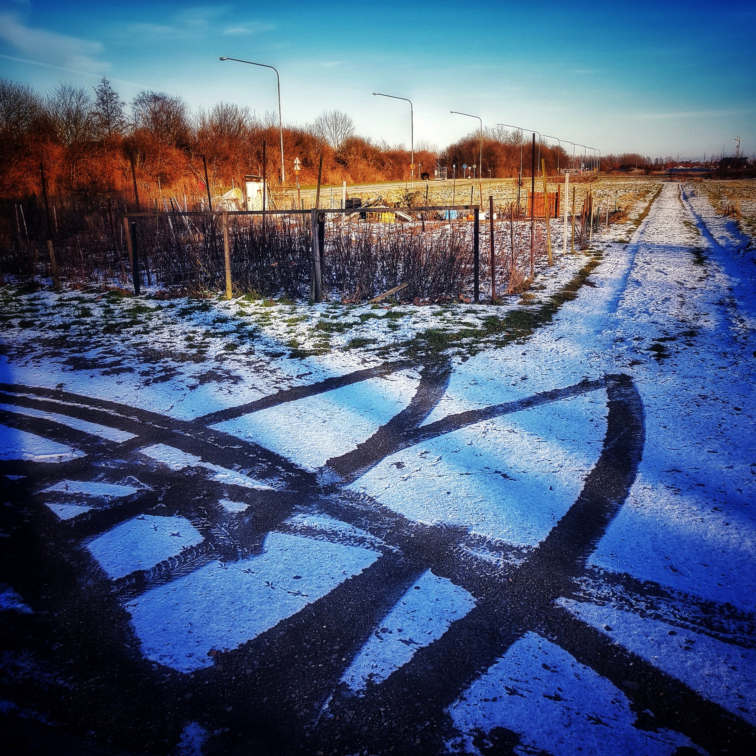 Day 36 - February 5: Tire Marks