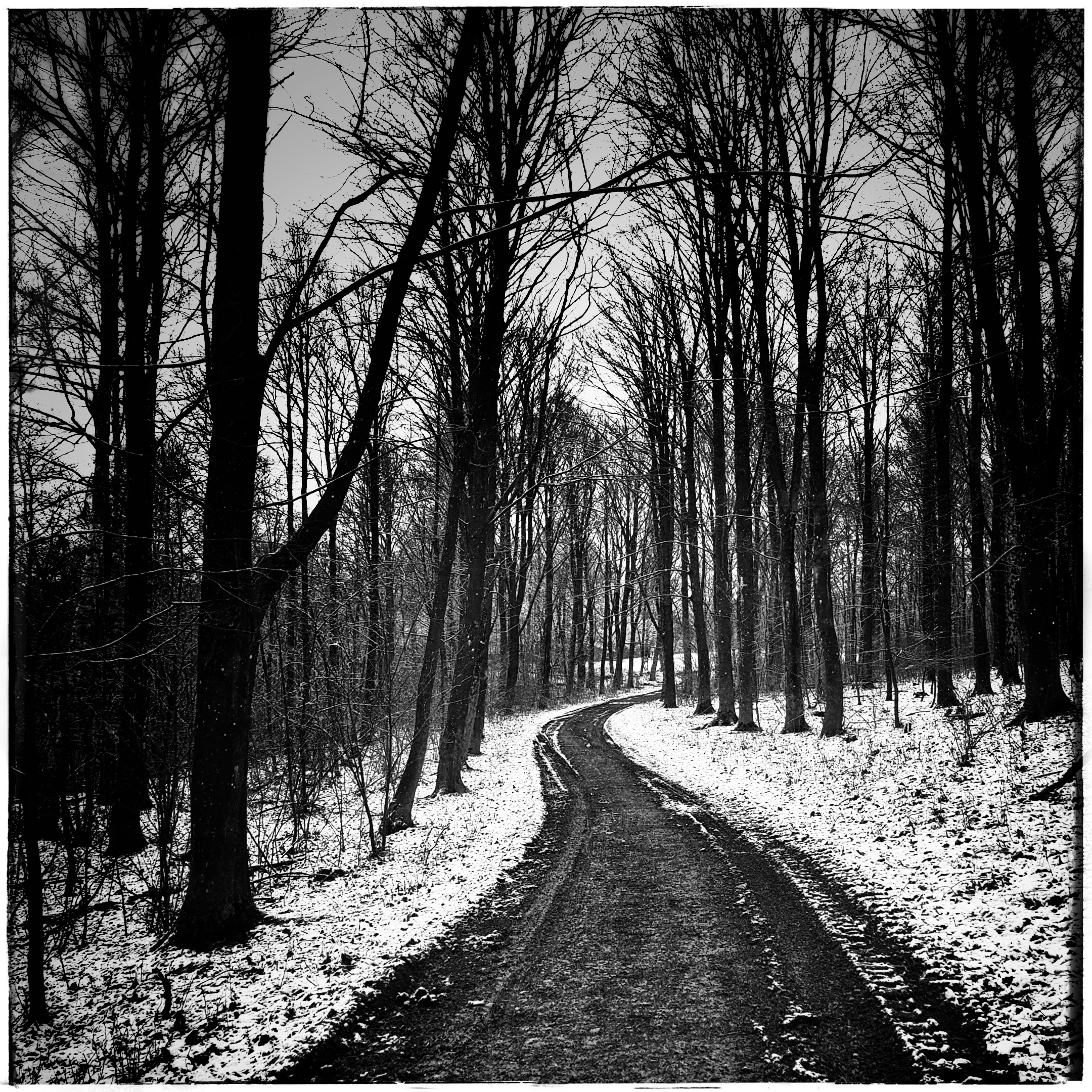 Day 37 - February 6: Long and winding road