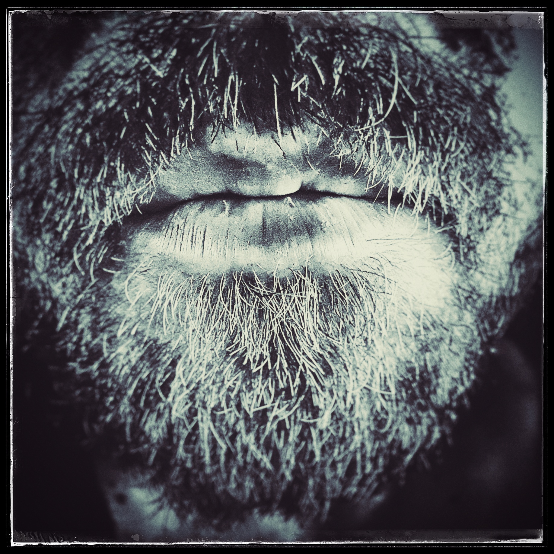 Day 44 - February 13: Beard