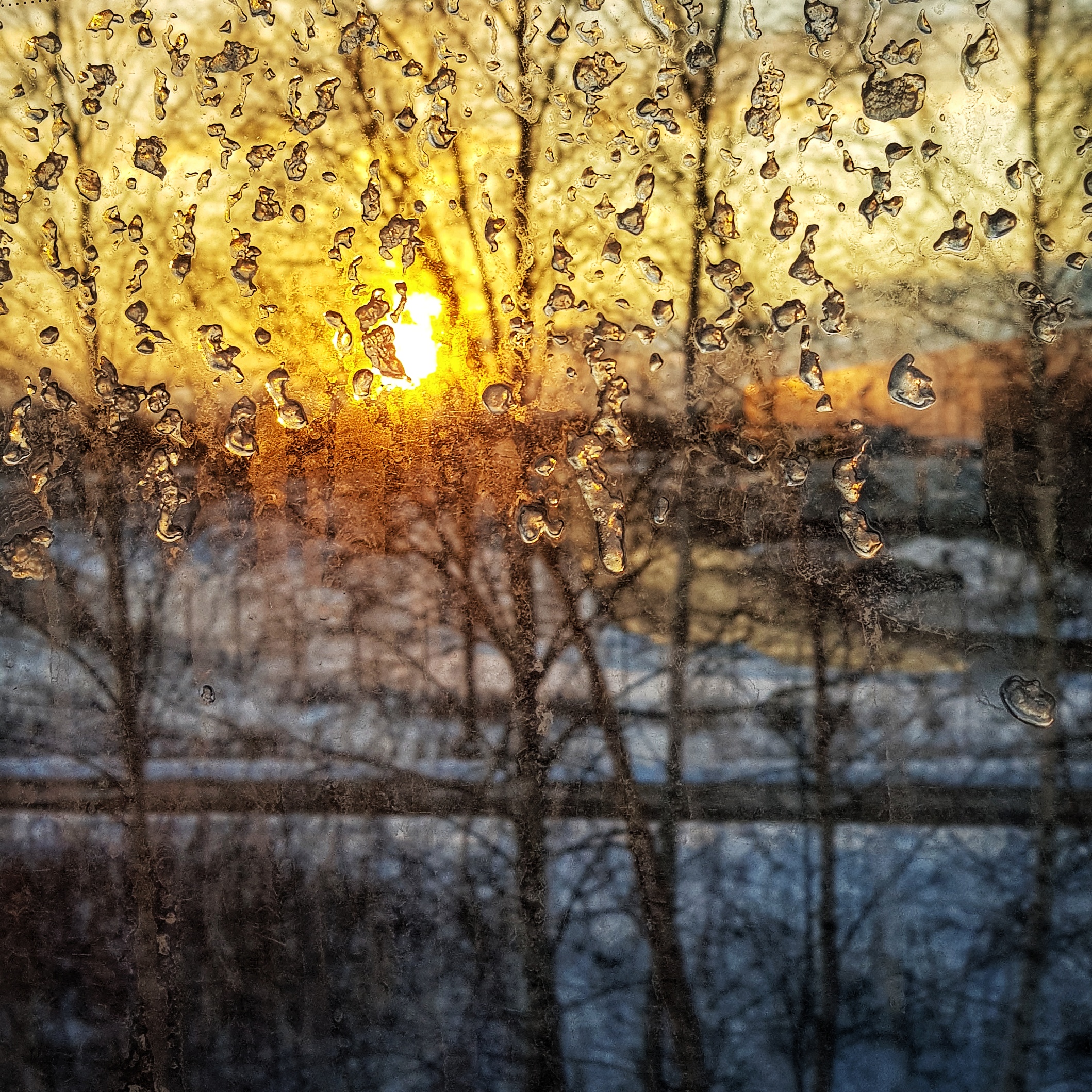 Day 60 - March 1: Sunset through a bus window