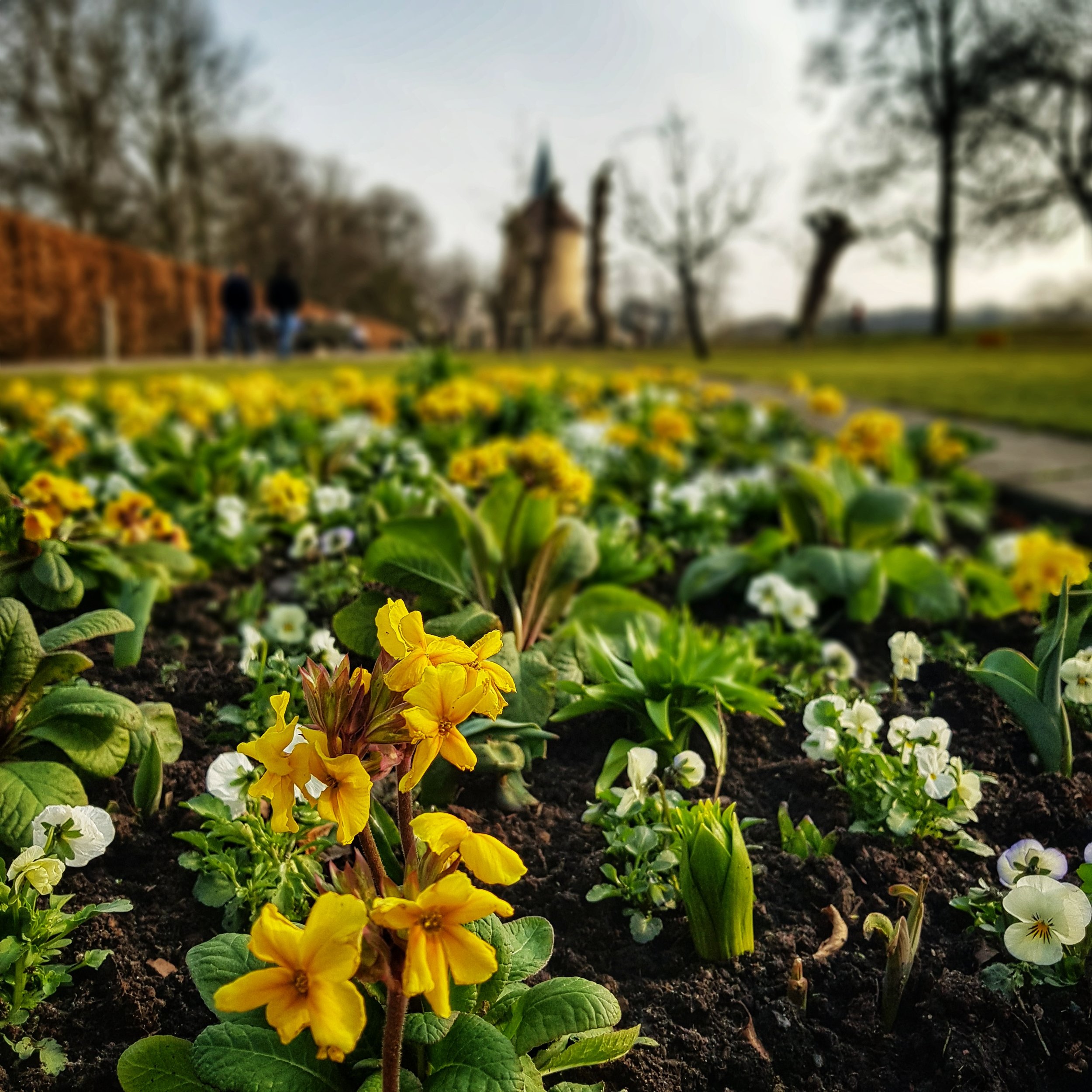 Day 100 - April 10: Signs of Spring