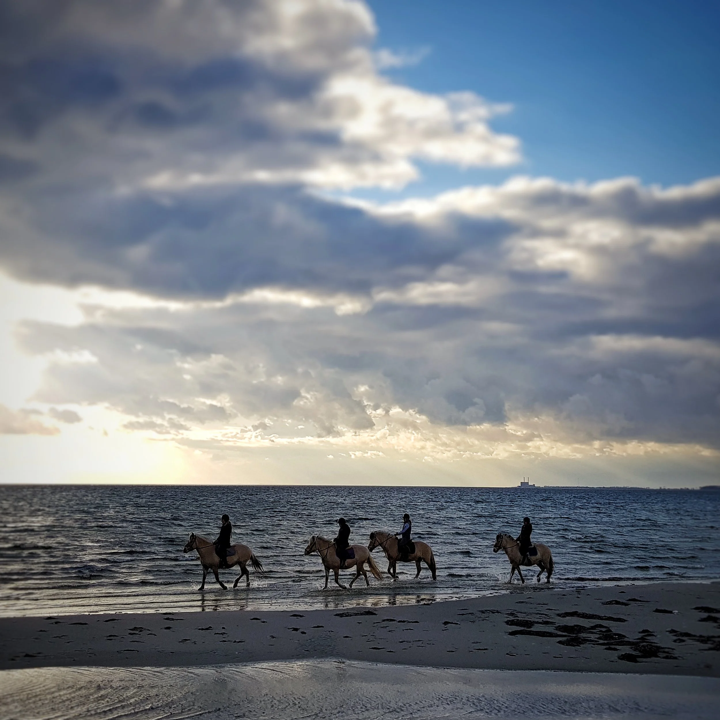 Instagram 365 April Wrap-Up