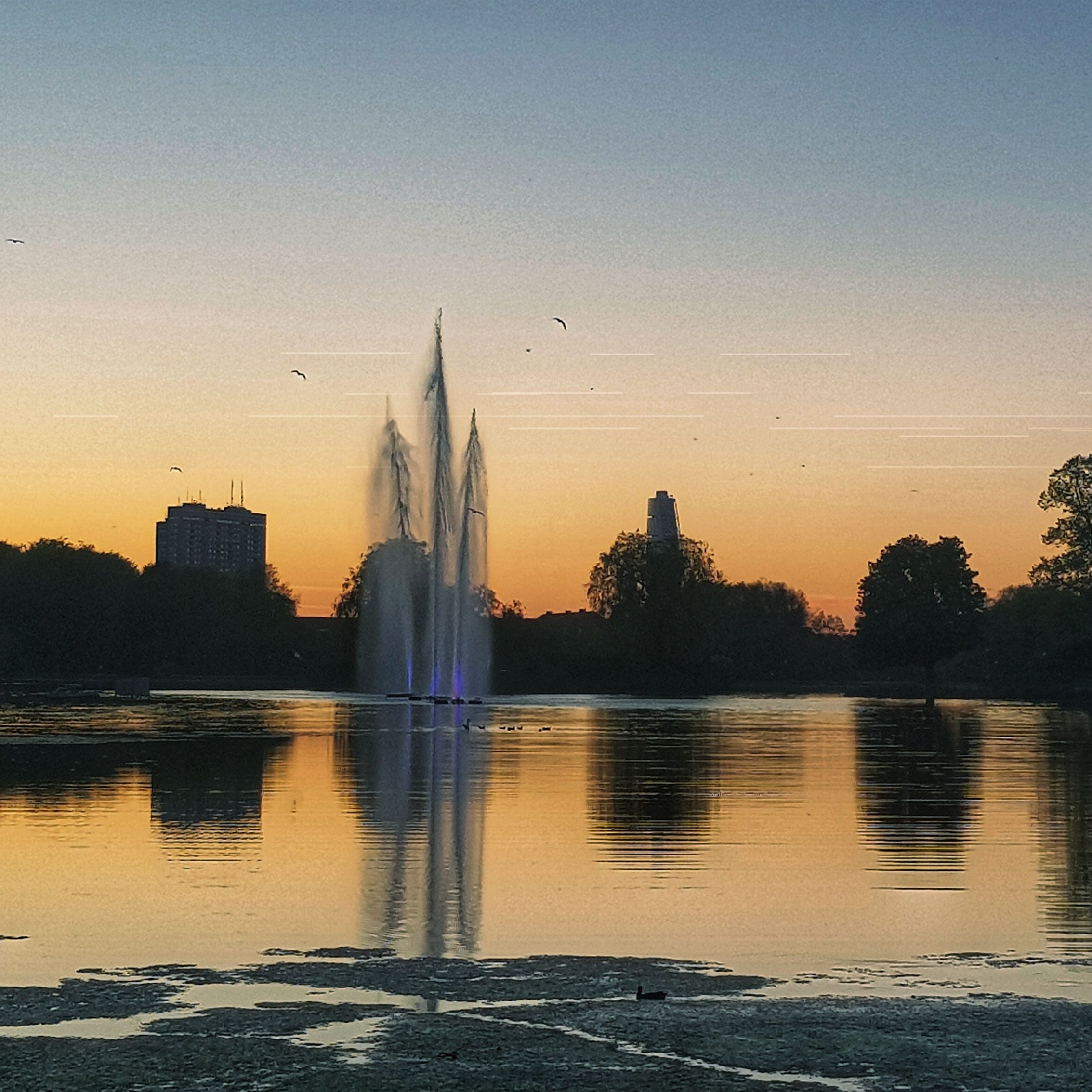 Day 134 - May 14: Sunset in the Park