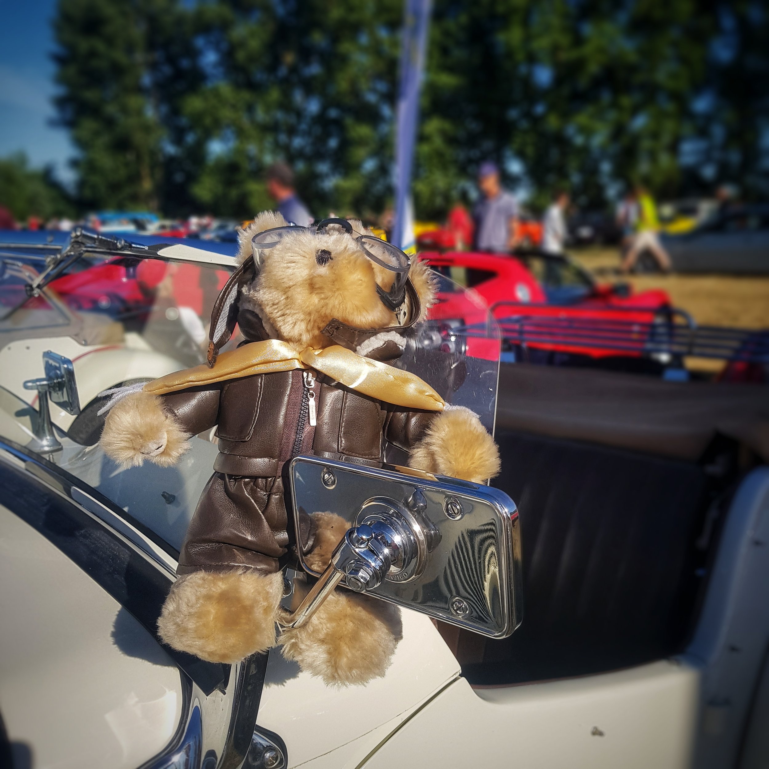 Day 156 - June 05: Teddy in a Triumph