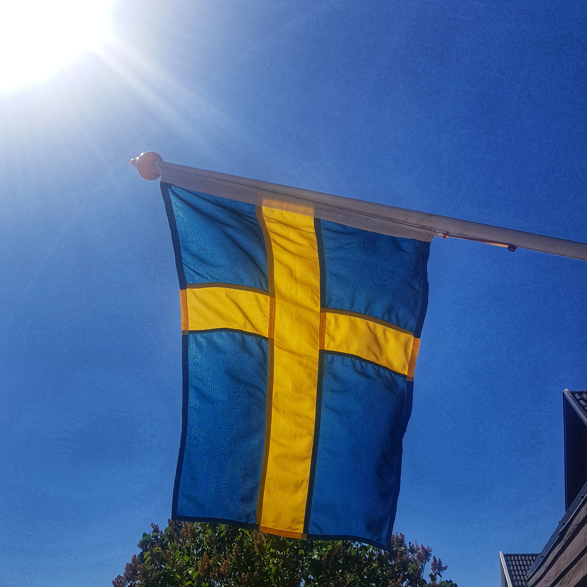 Day 157 - June 06: Sweden's Day