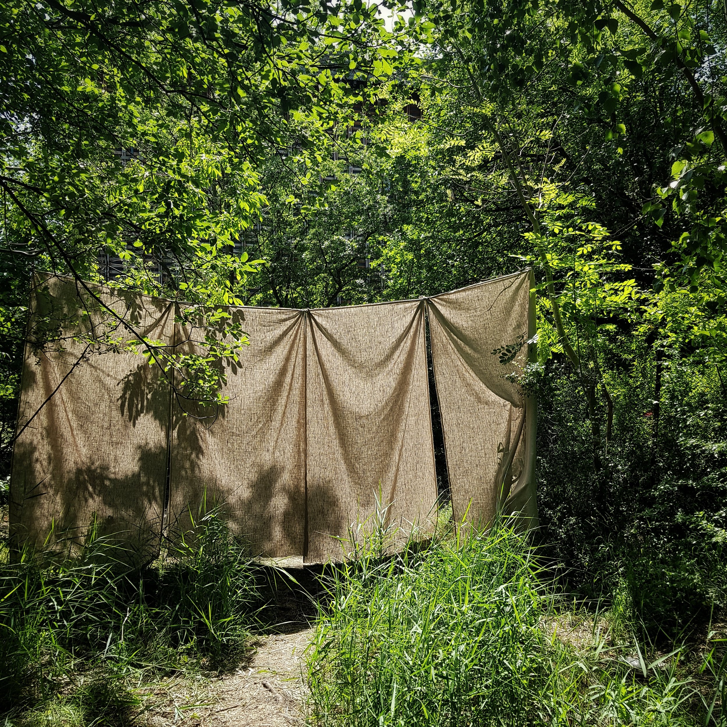 Day 160 - June 09: Drapes in the woods