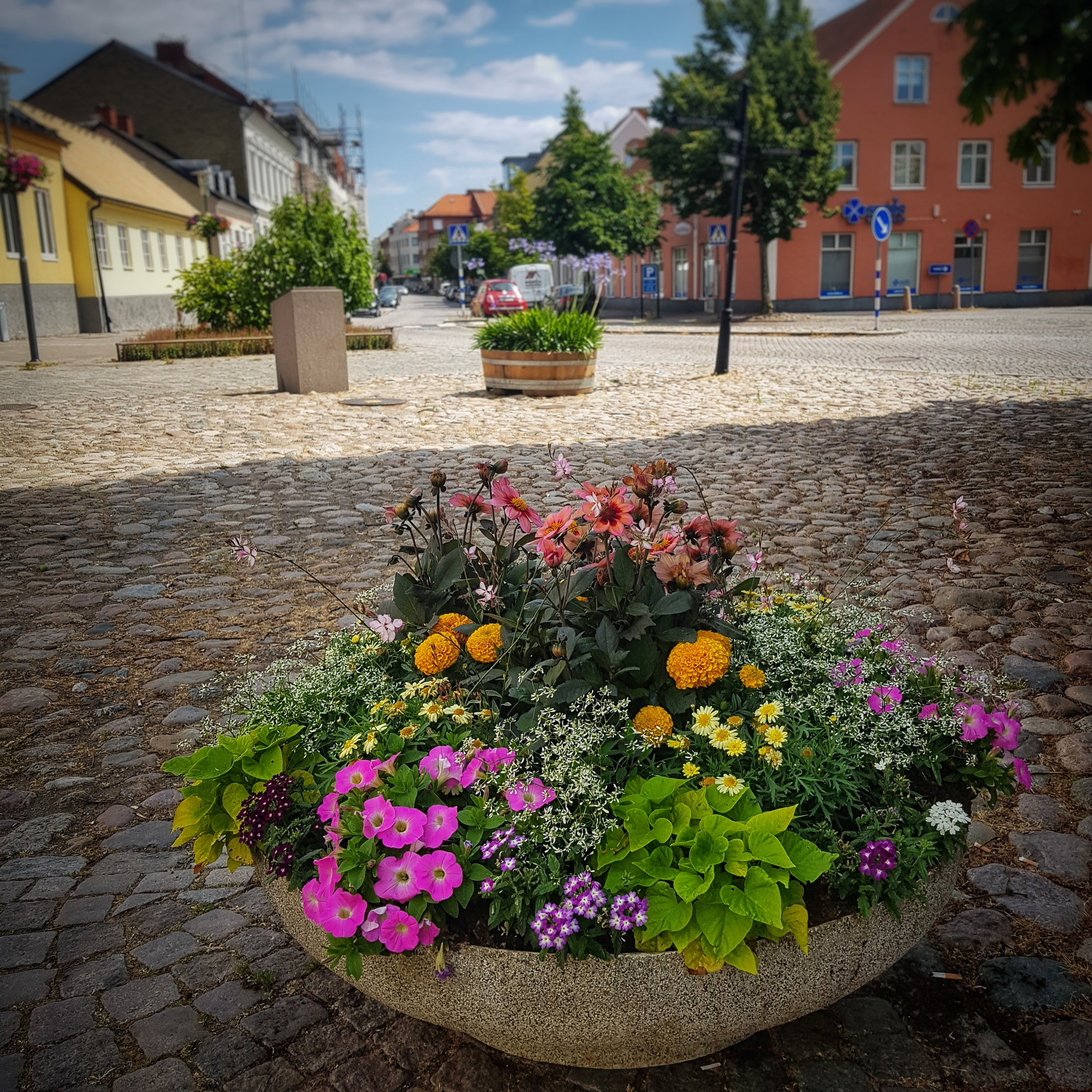 Day 188 - July 07: Flowers in a small town