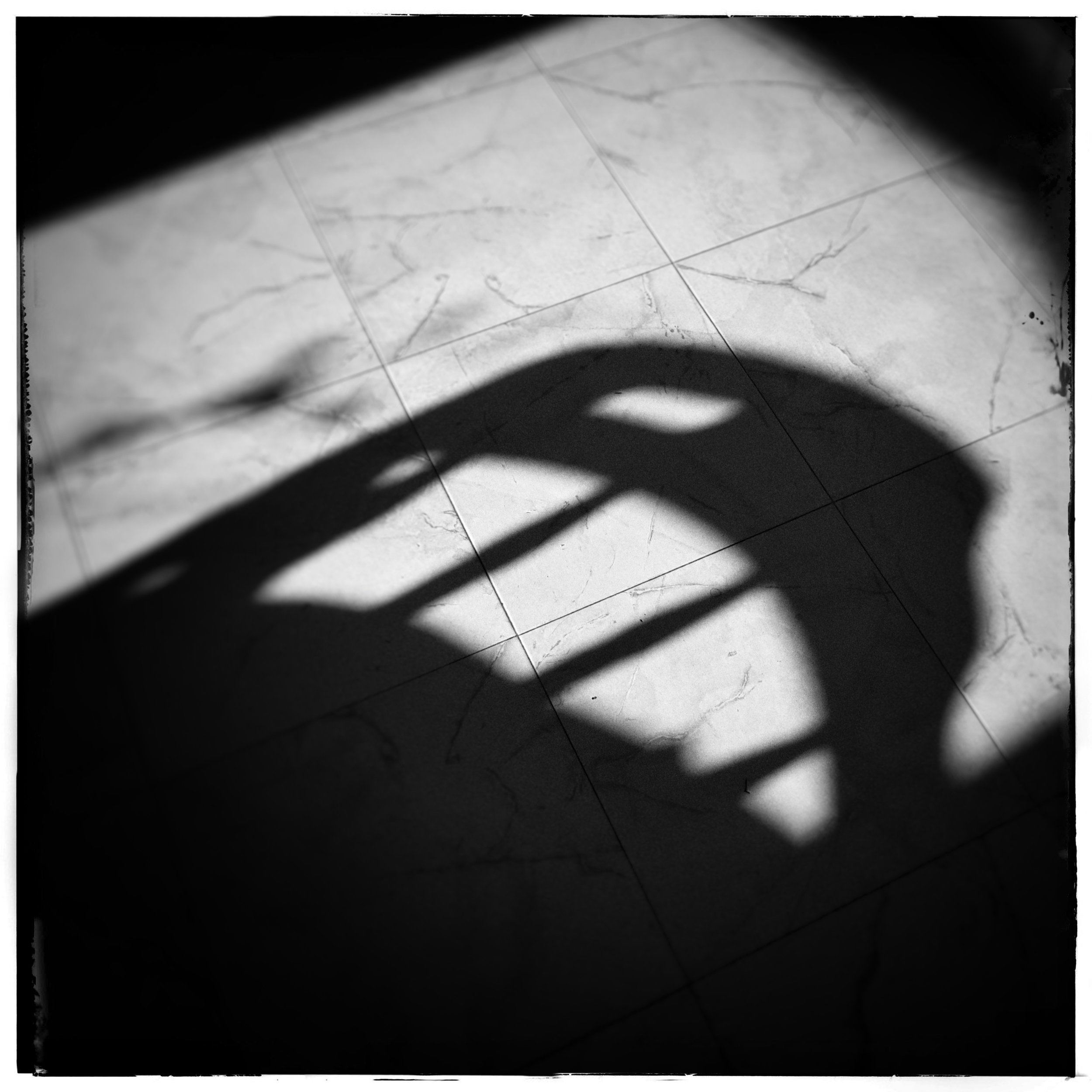Day 194 - July 13: There's a shadow monster on the floor...