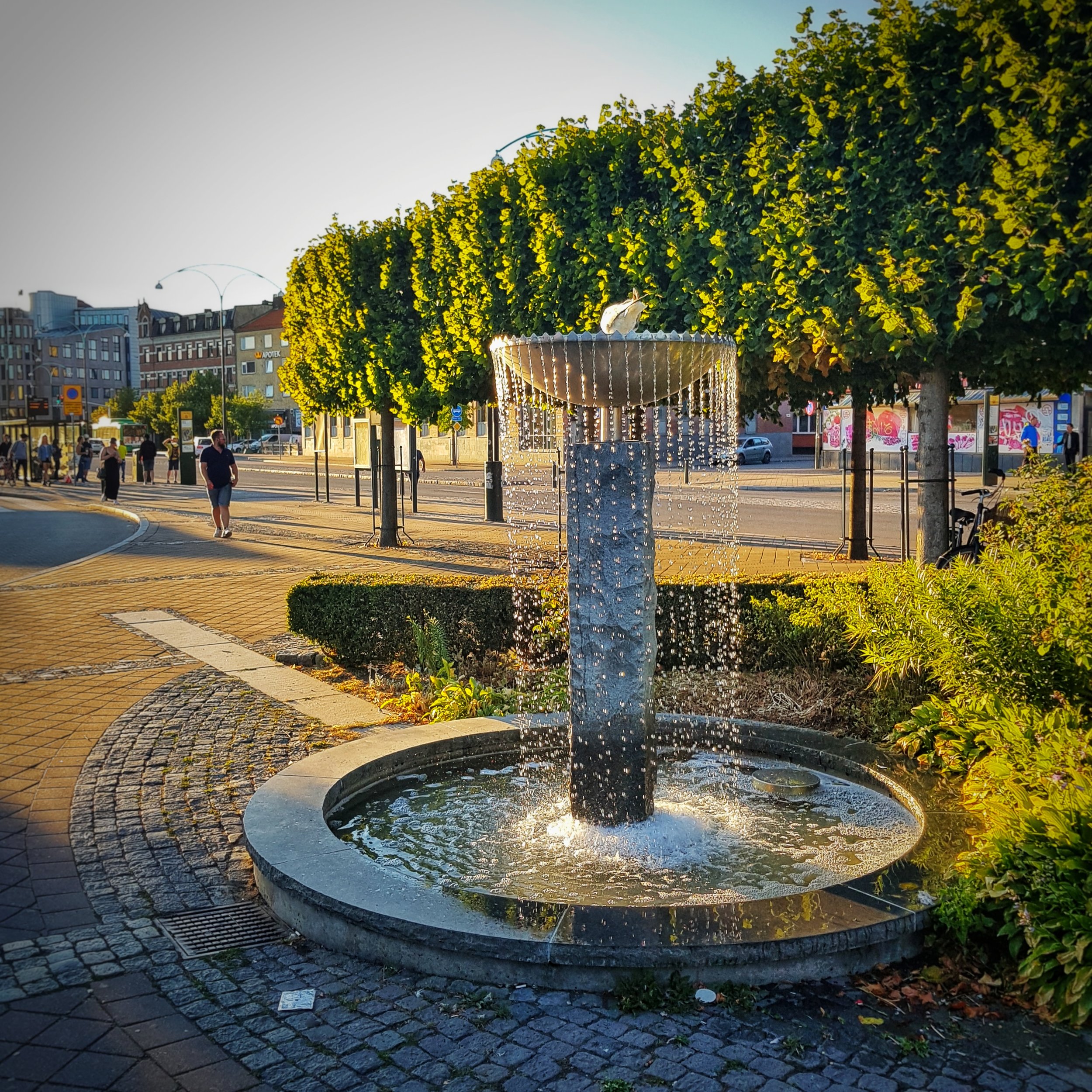 Day 212 - July 31: Fountain