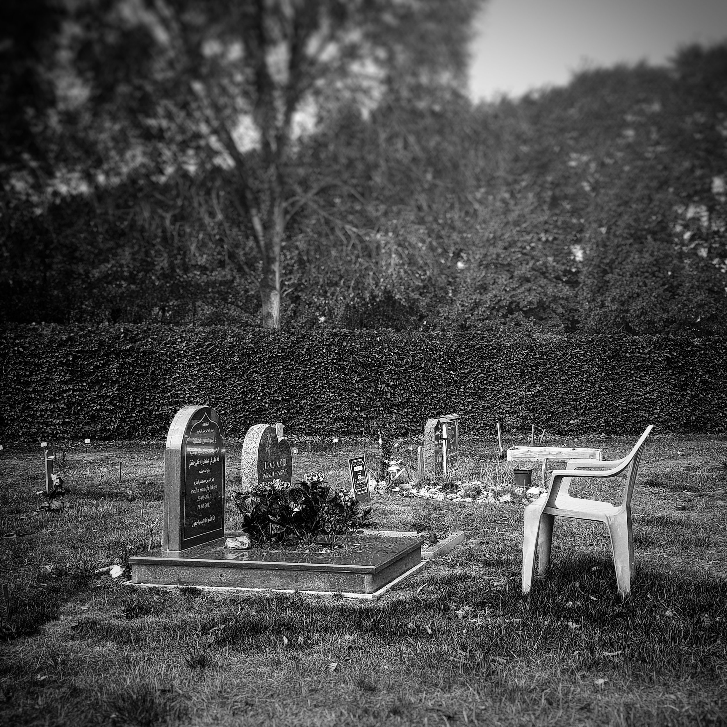 Day 230 - August 18: At the cemetery