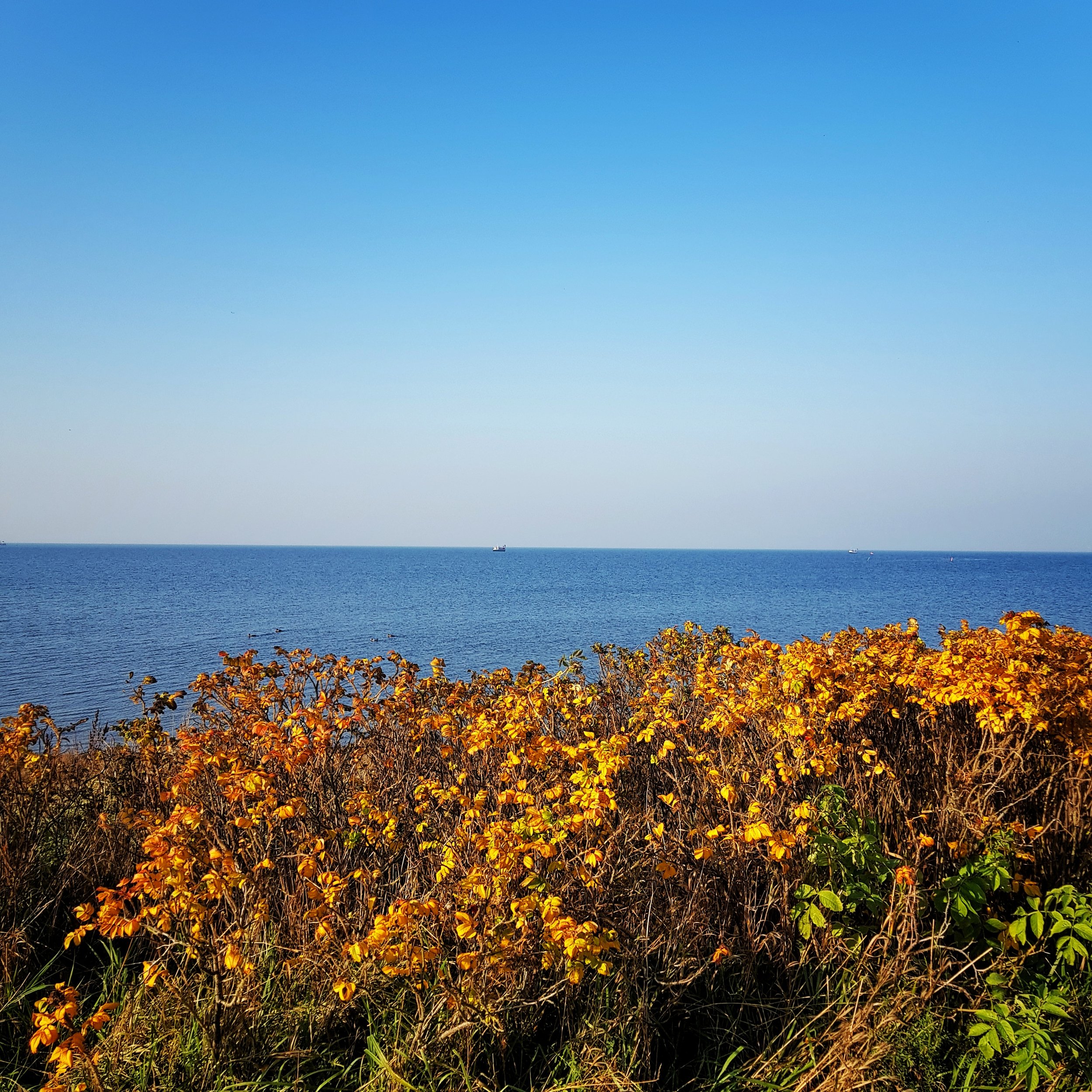 Day 312 - November 8: Ocean Views