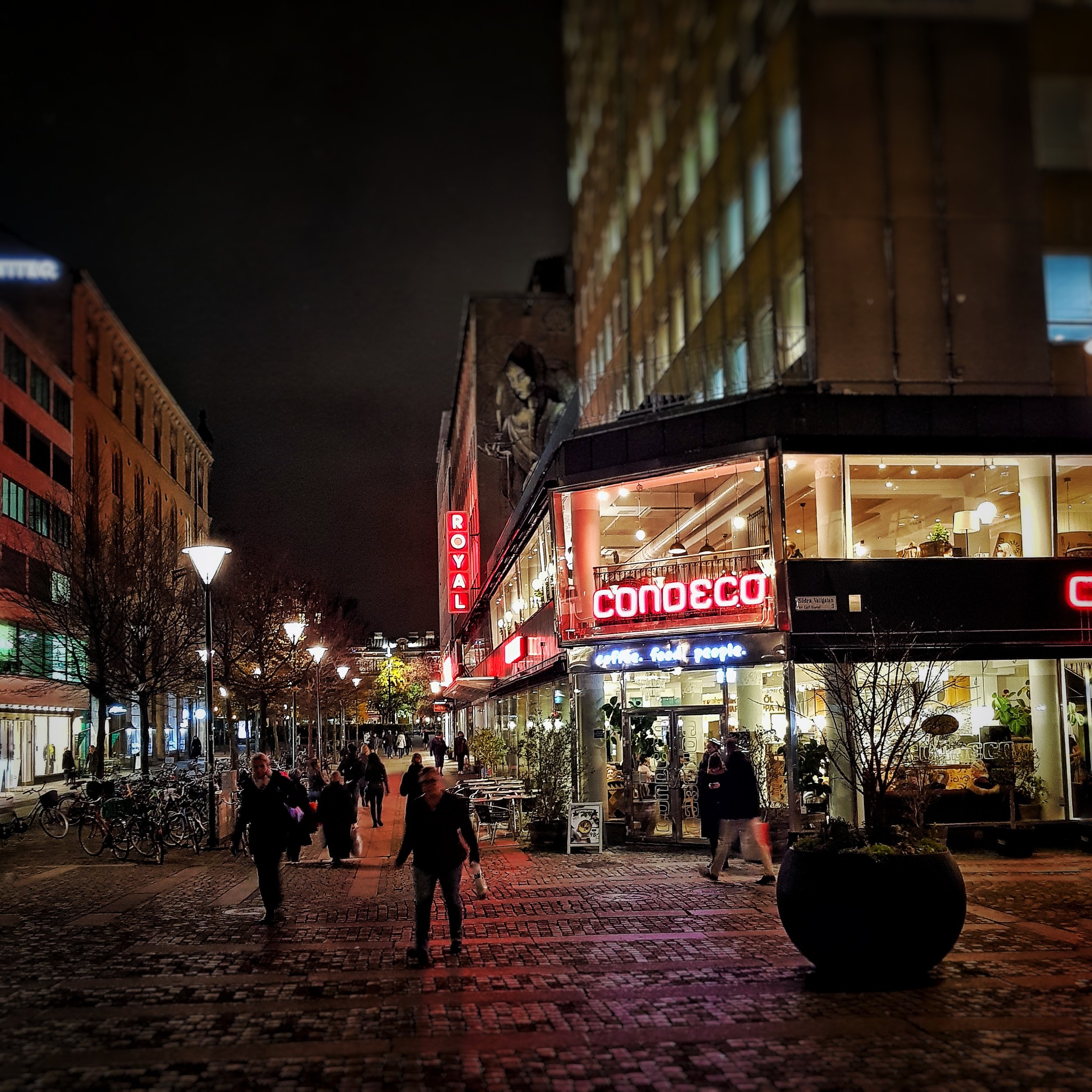 Day 318 - November 14: Night in the City