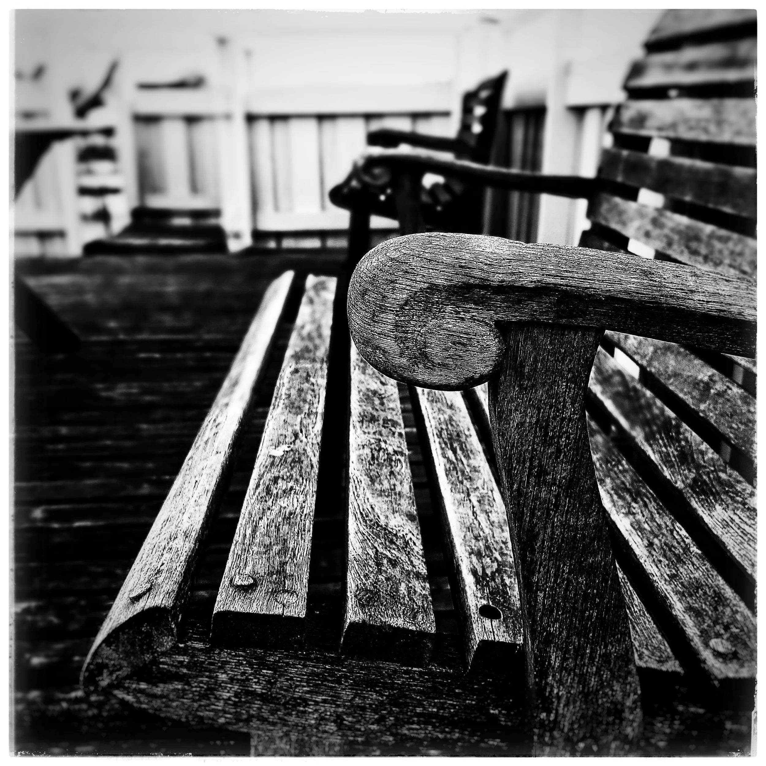 Day 311 - November 7: Sit for a spell
