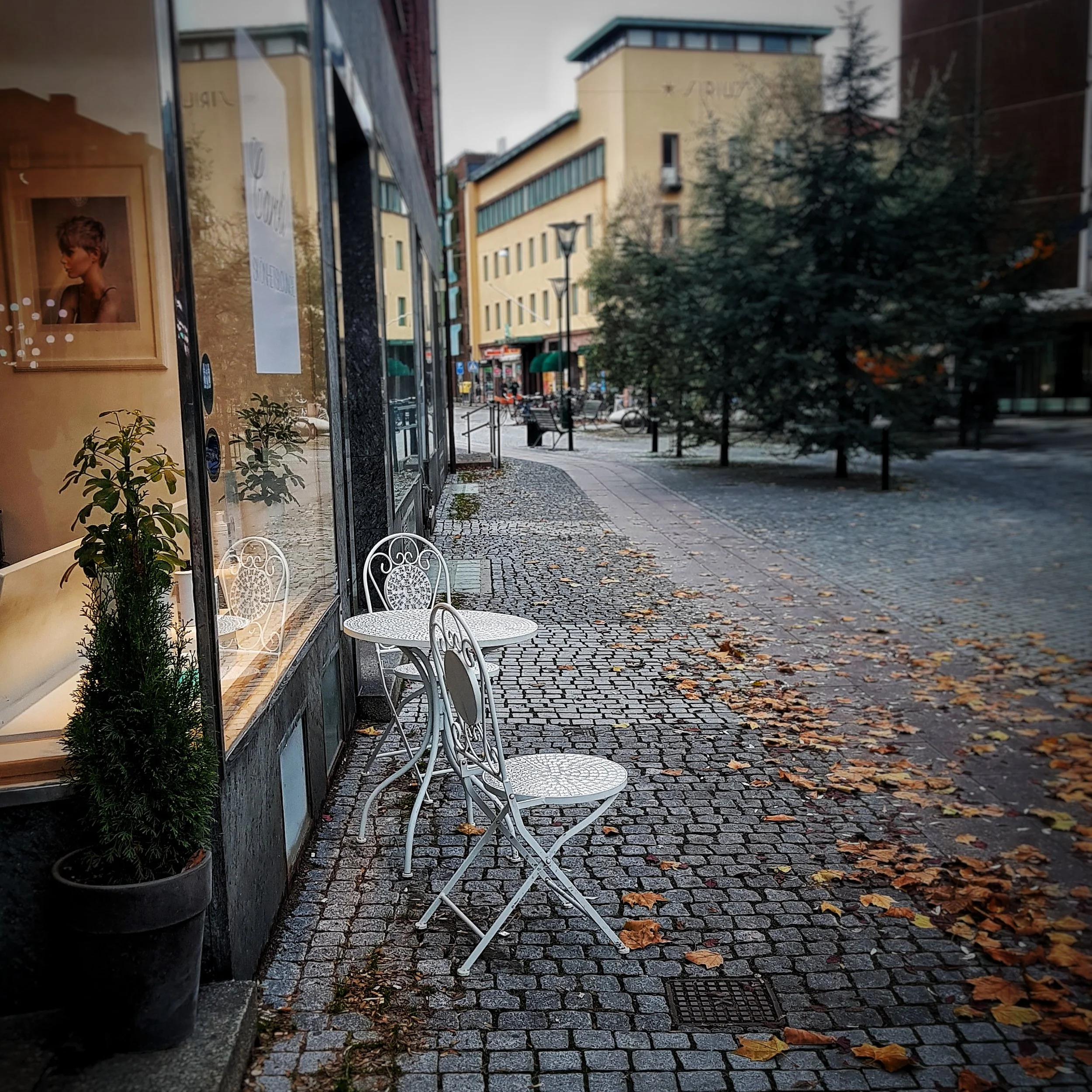 Day 315 - November 17: Outdoor season is over