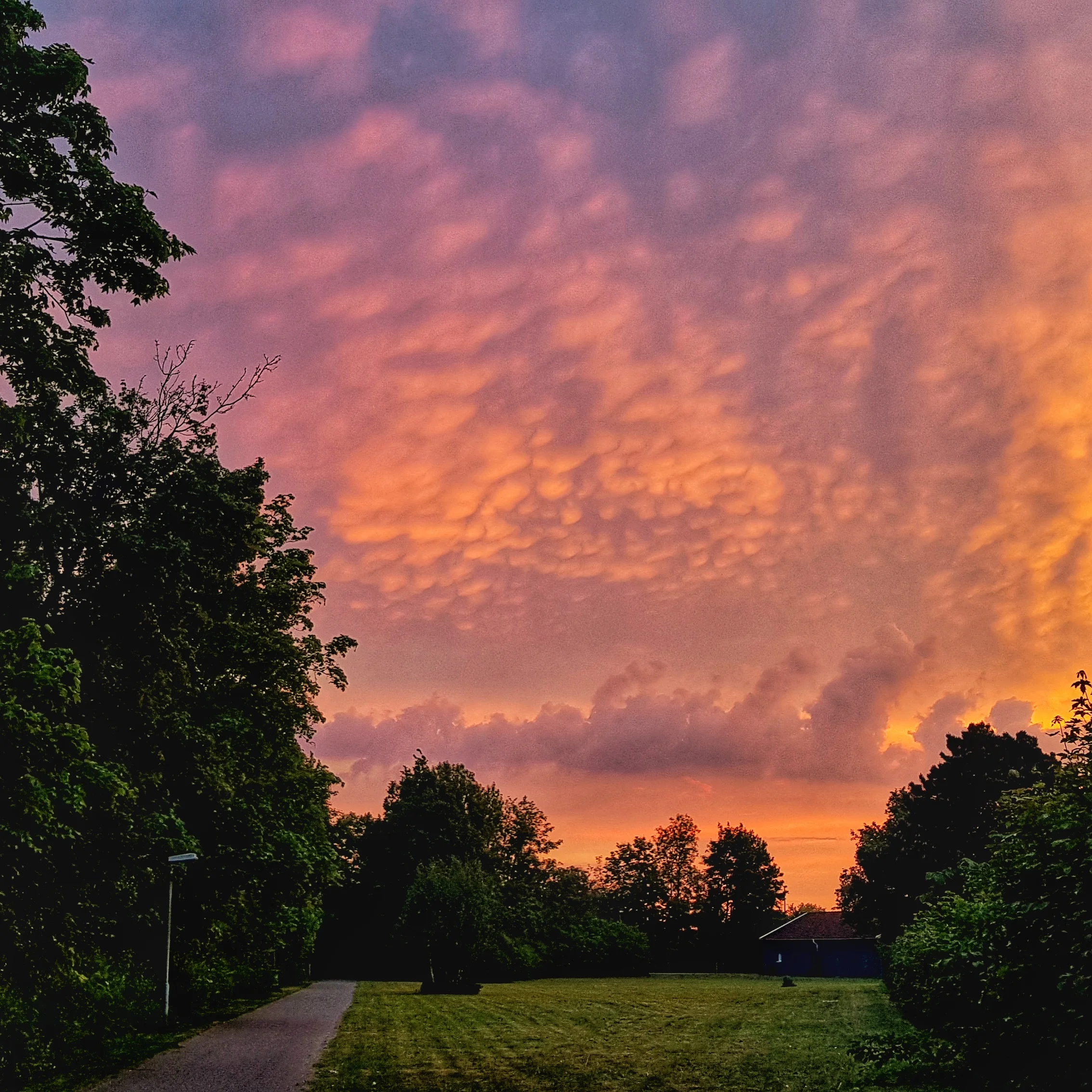 The 365 Project May & June Wrap-Up