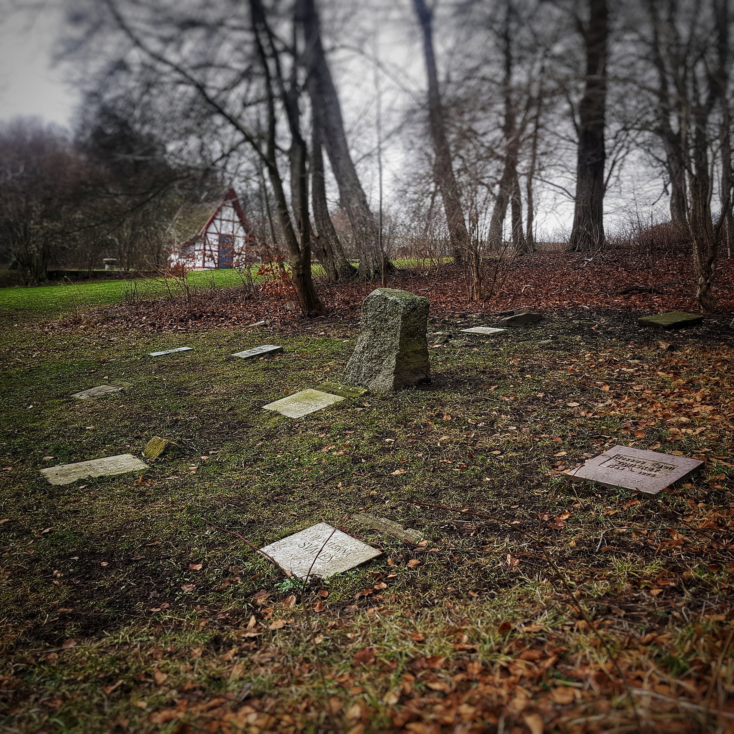 Day 30 - January 30: Pet Cemetery