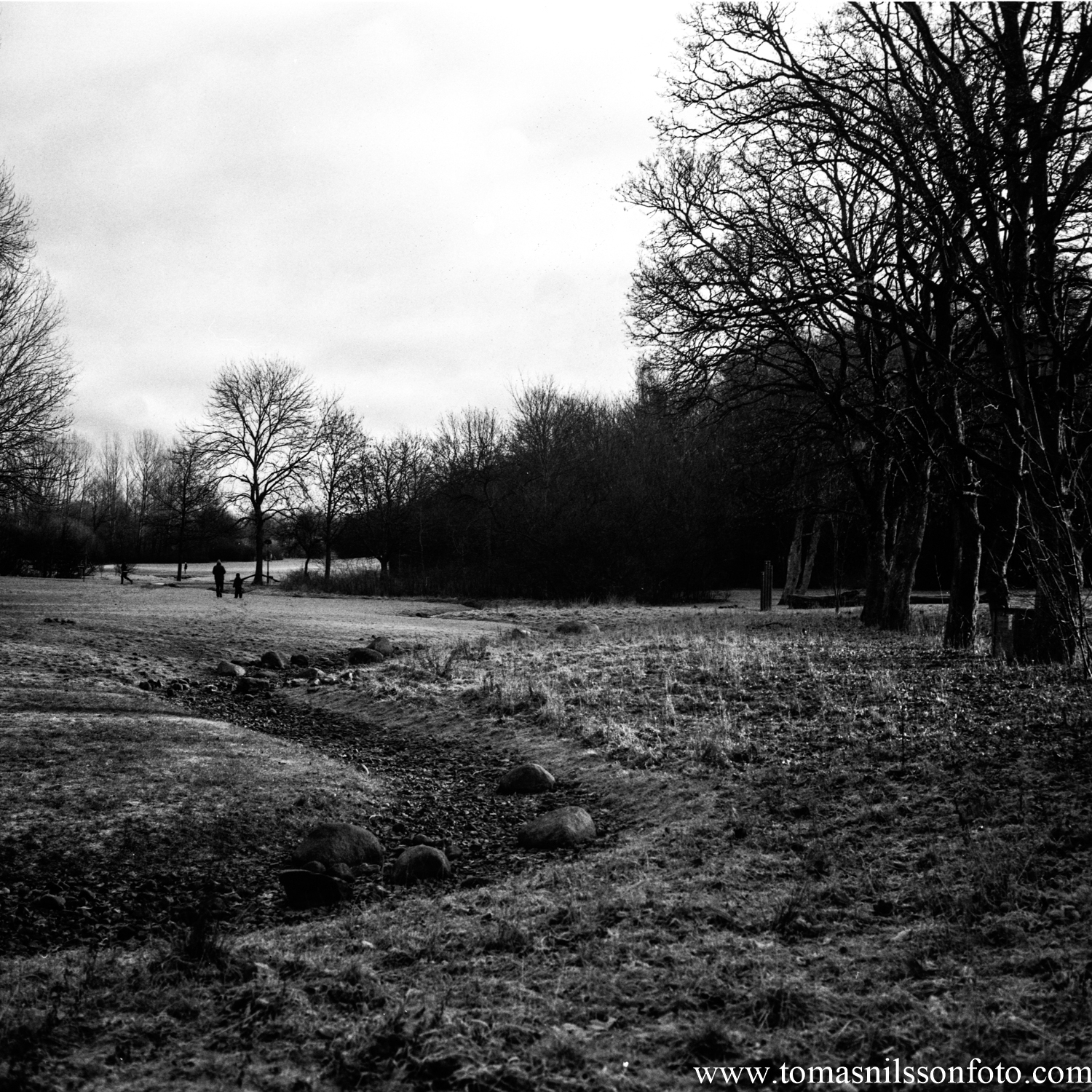 Day 25 - January 25: Dry Creek