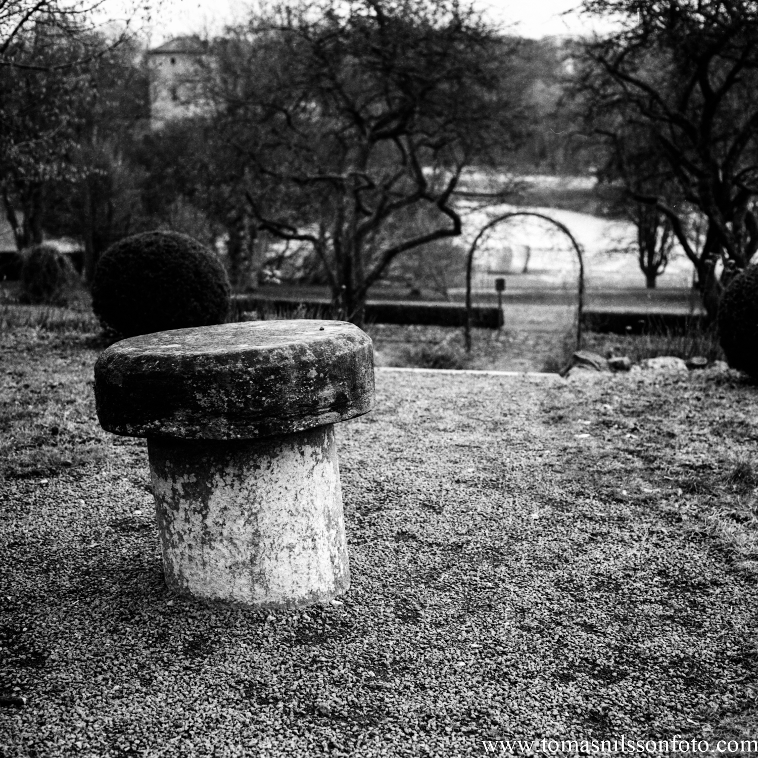 Day 40 - February 9: At the old playground