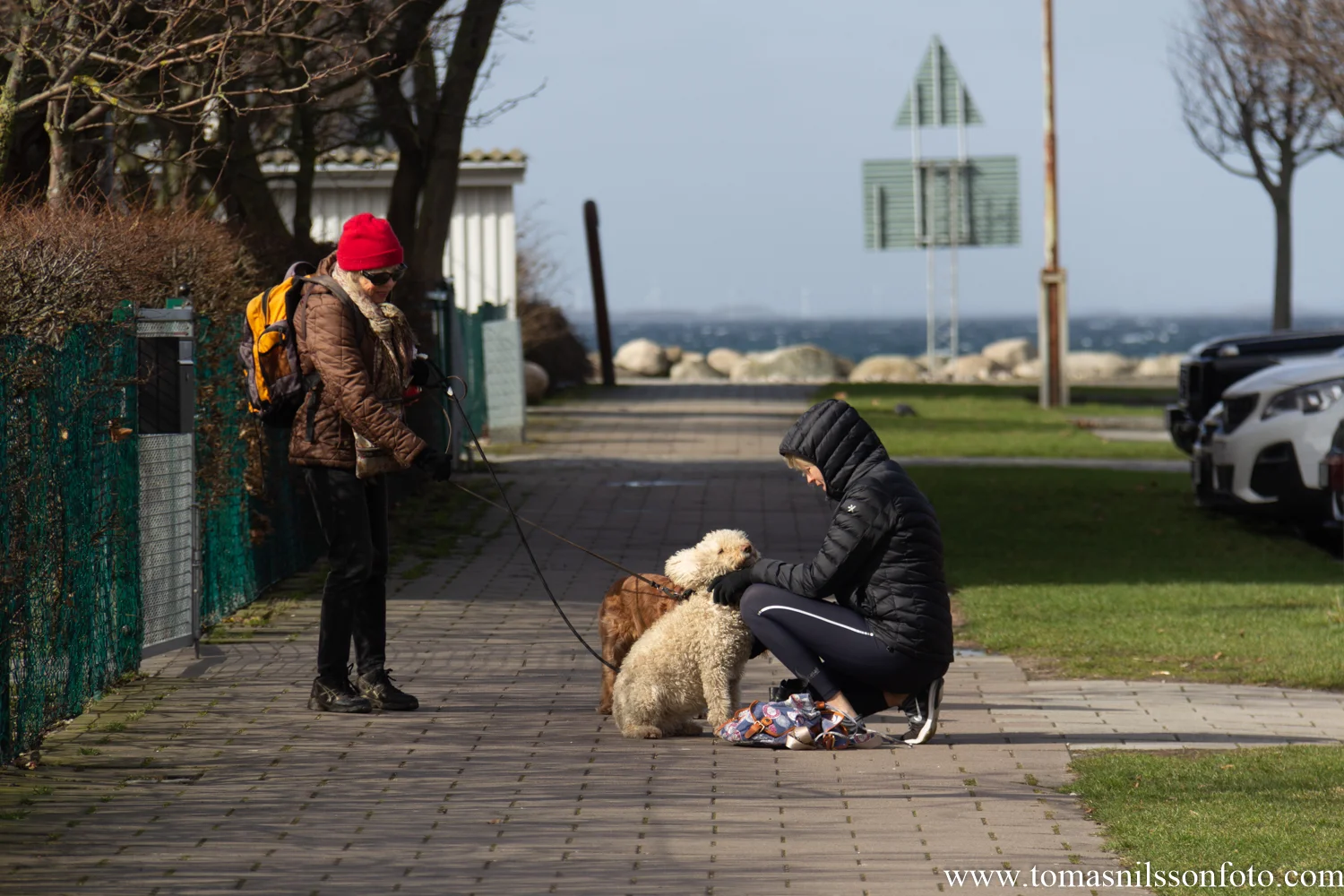 You can rely on dog owners and photographers to go out in stormy winds!