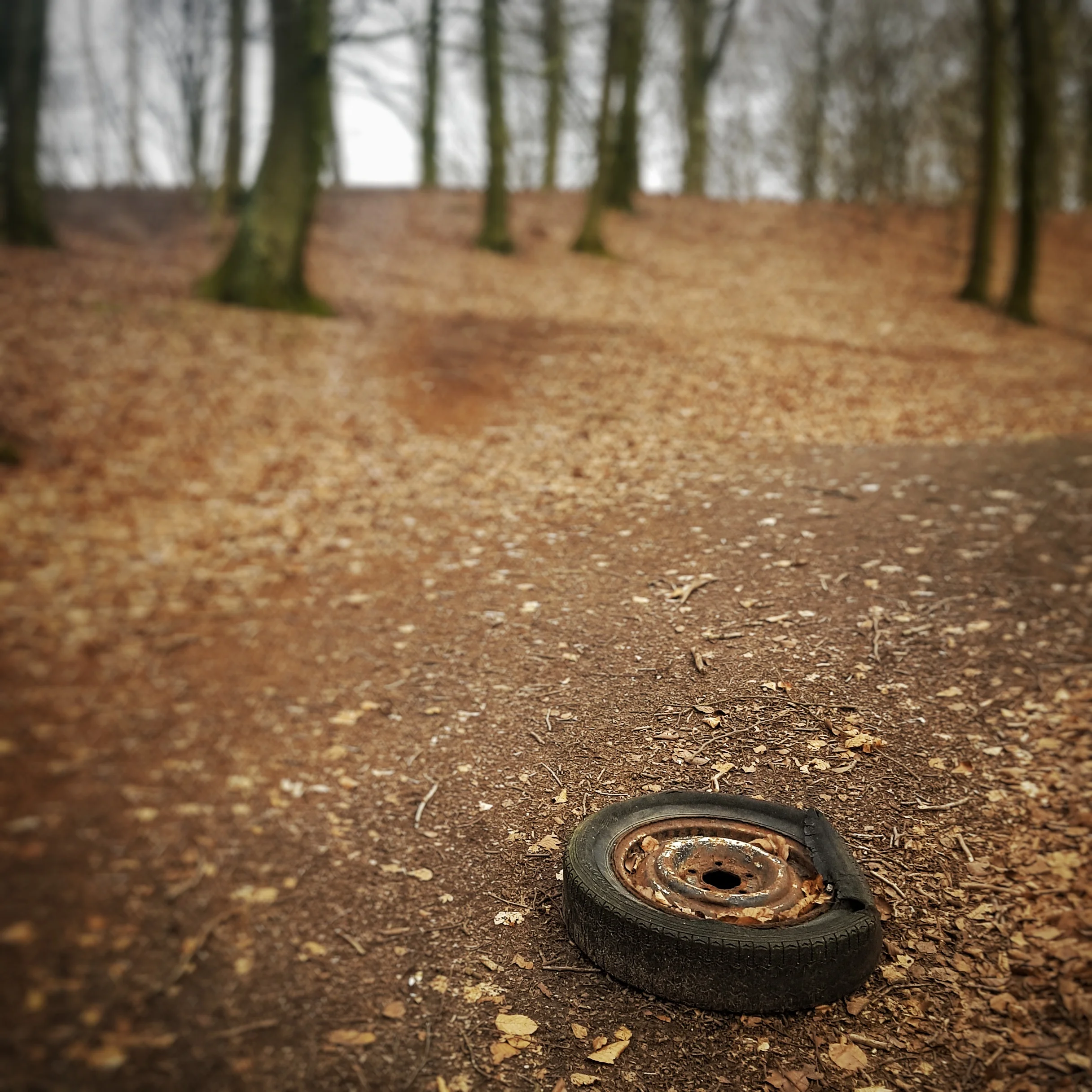 Day 83 - March 24: Why?