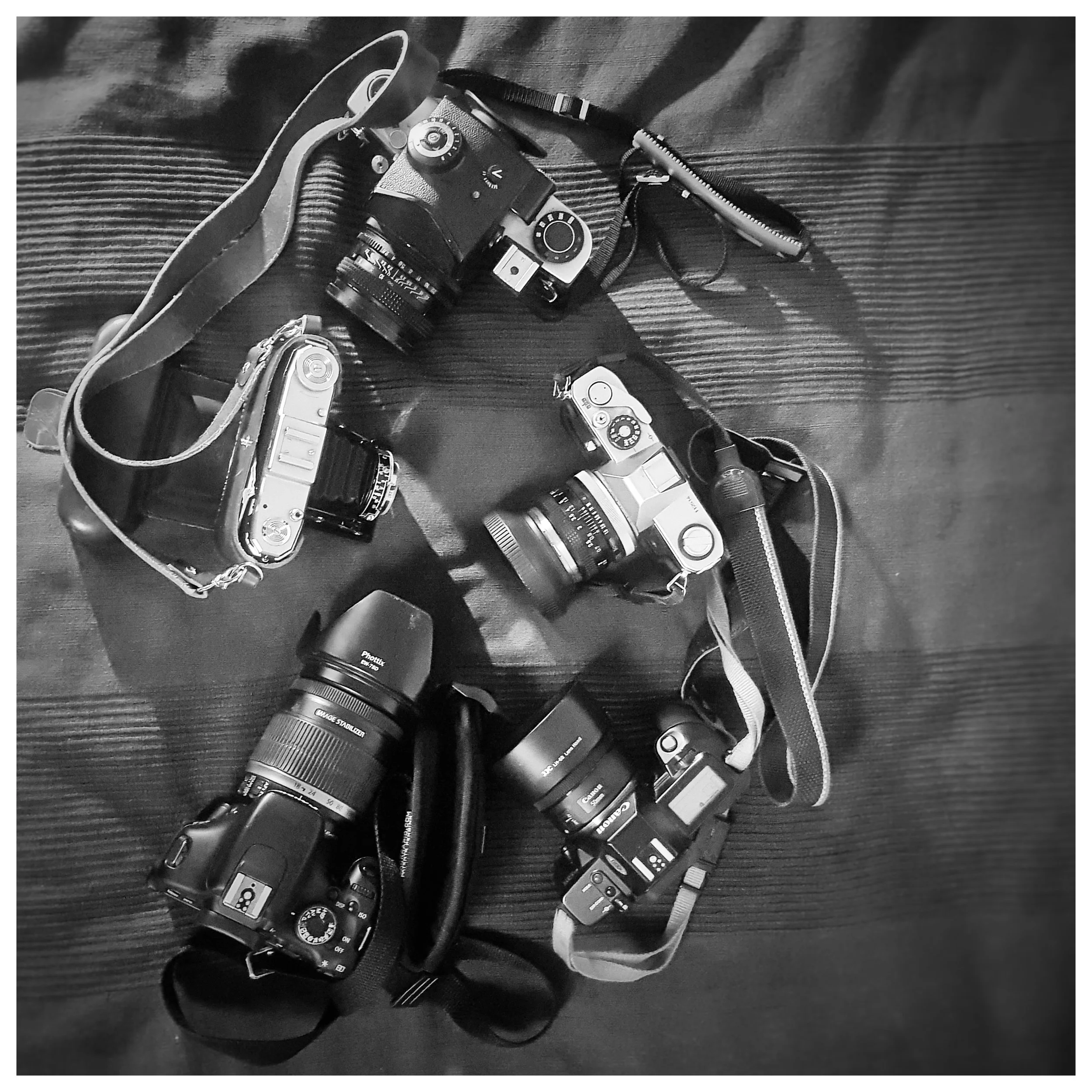 Day 101 - April 11: Family Photo