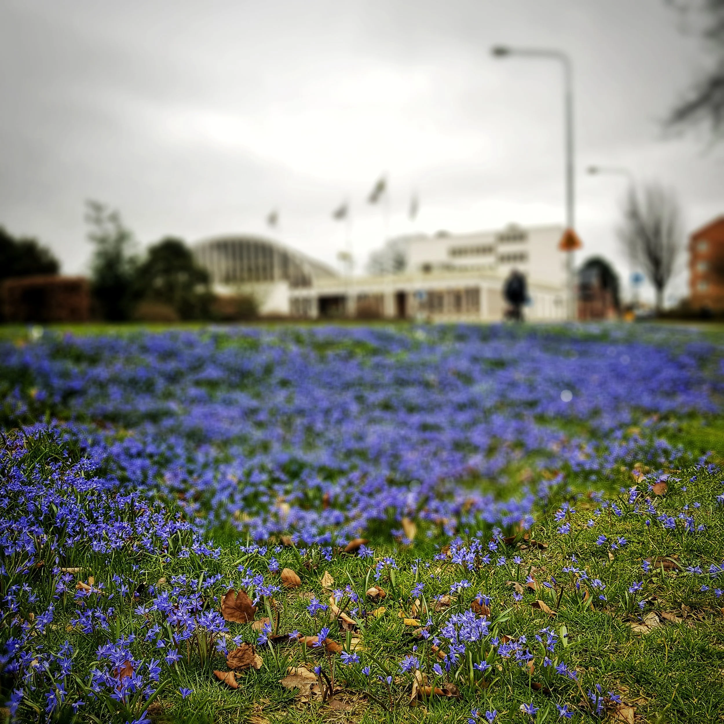 Day 103 - April 13: Blue Spring