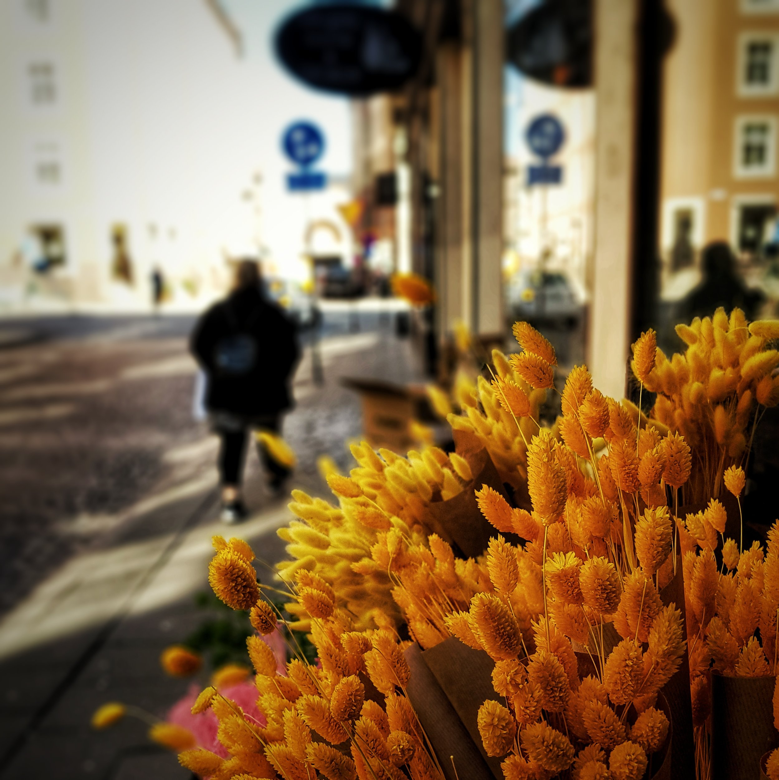 Day 110 - April 20: Happy Easter!