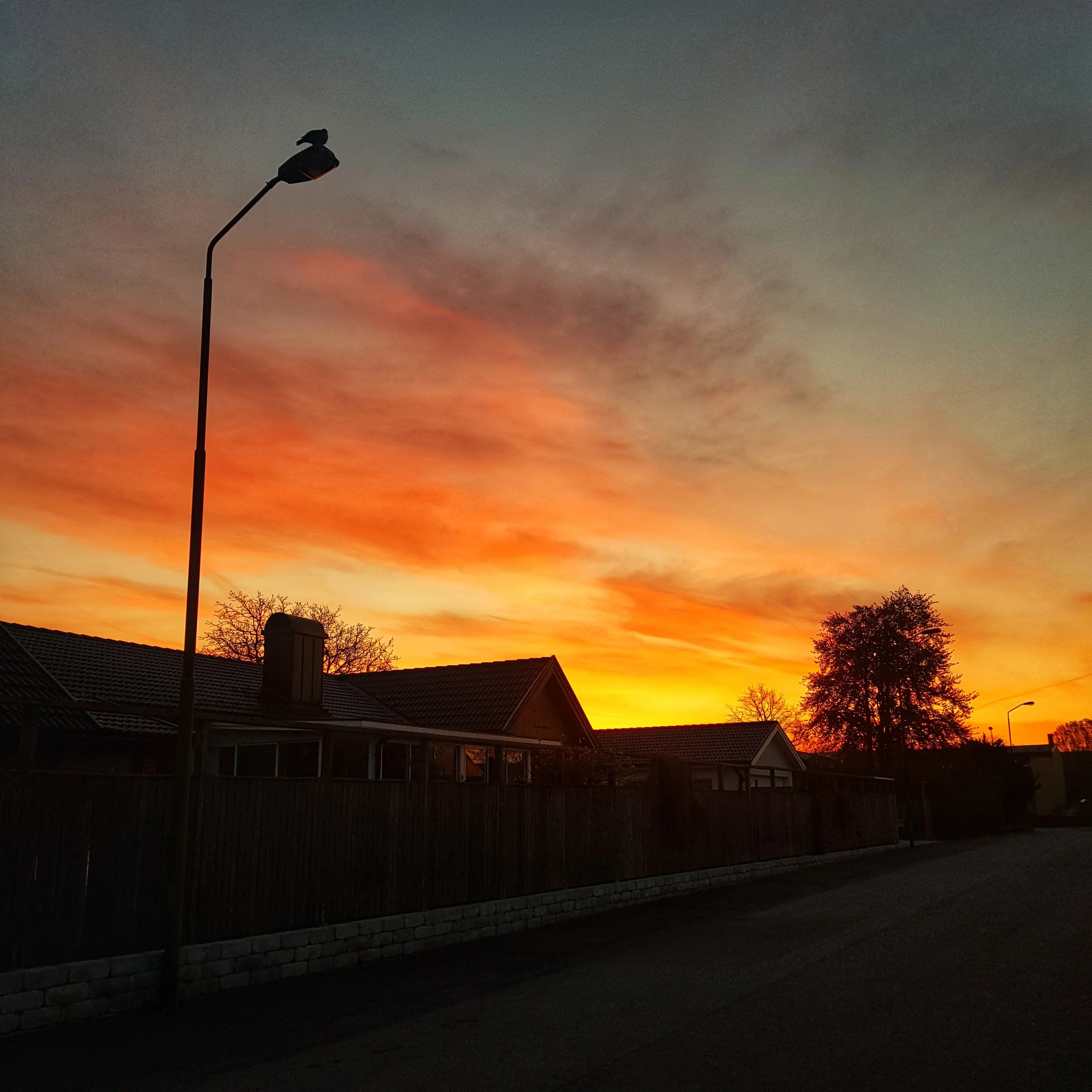 Day 119 - April 29: It's a new day