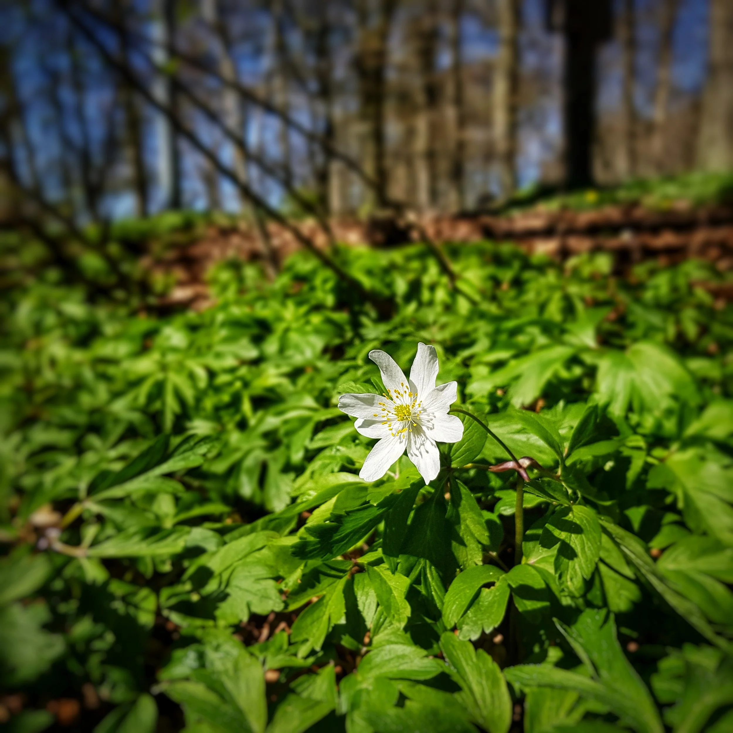 April 28 - Day 118: First of many to come