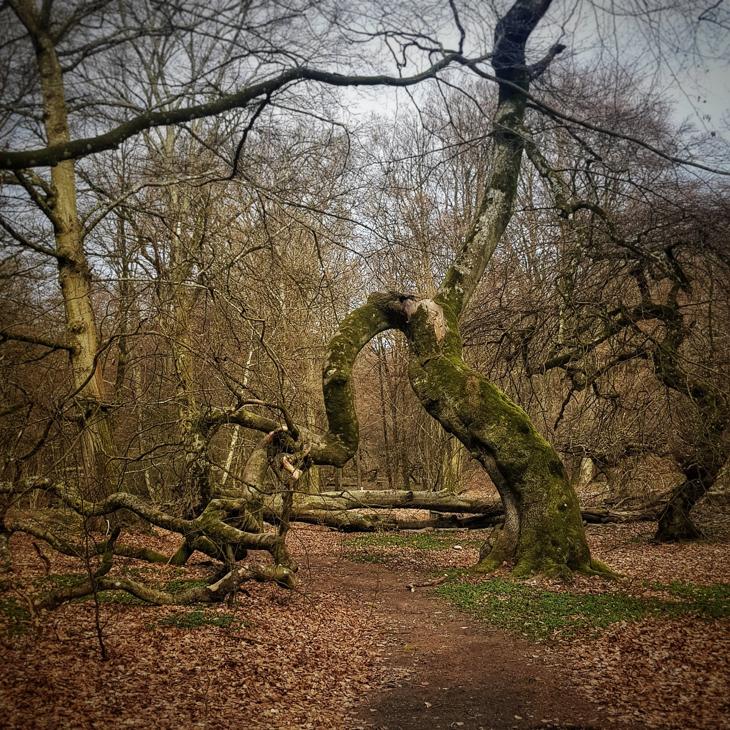 The 365 Project Mark IV - The Fourth Month Summary