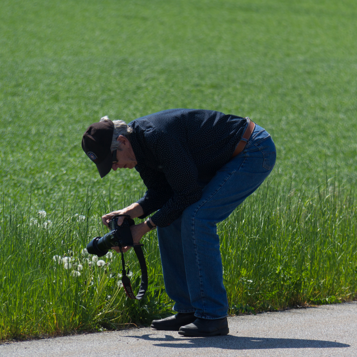 Day 144 - May 24: Catching that flower shot