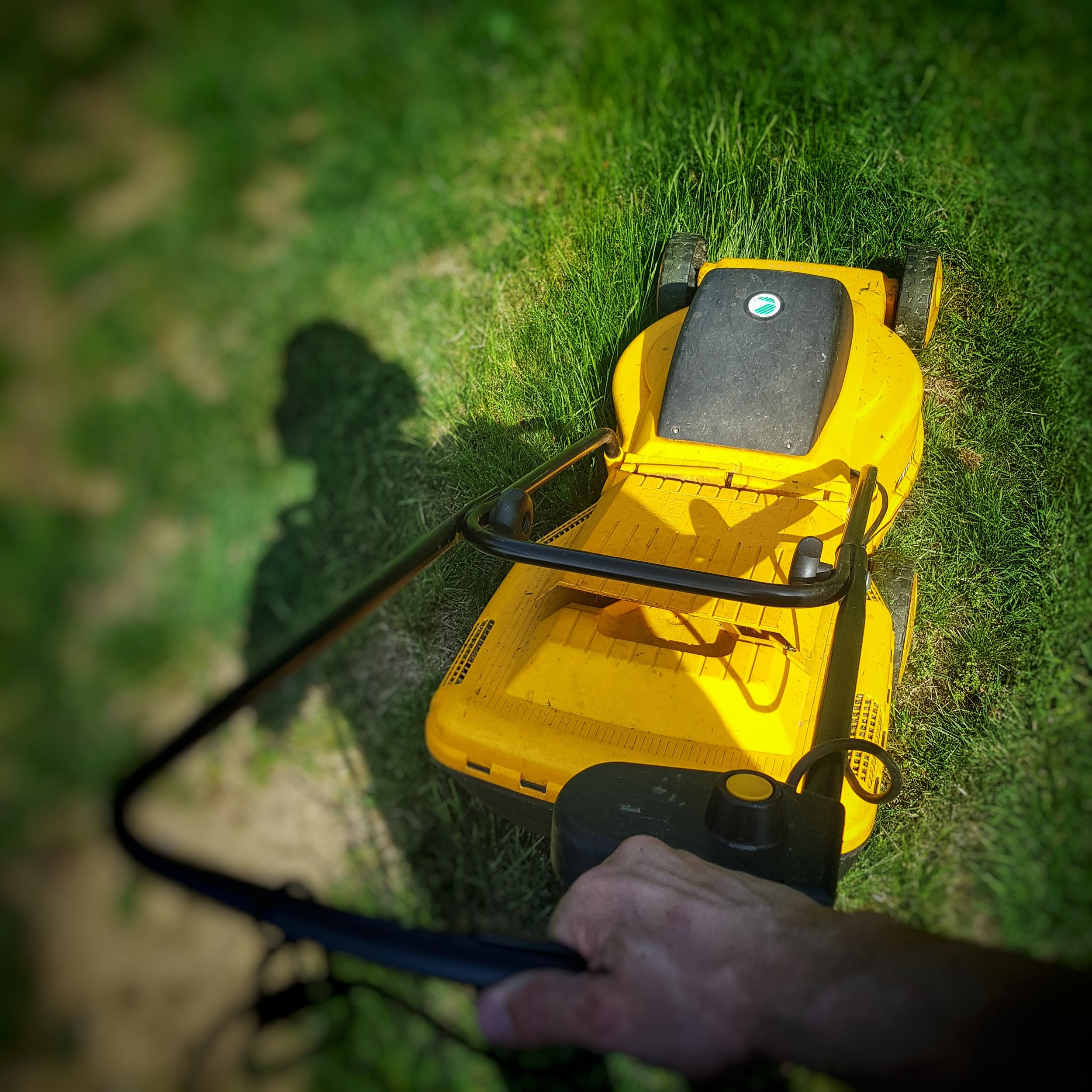 Day 143 - May 23: Mowing the meadow