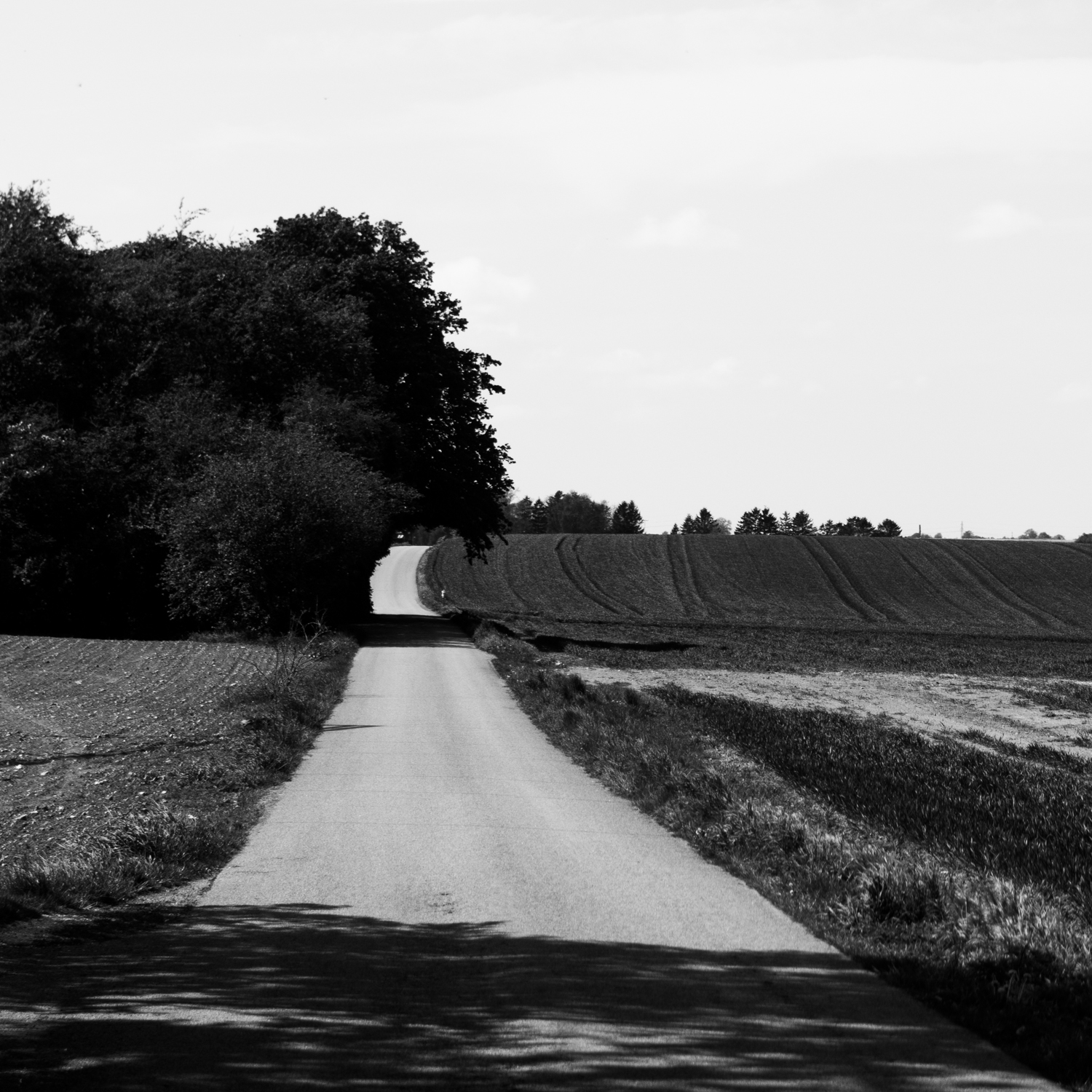 Day 150 - May 30: The Road Less Traveled