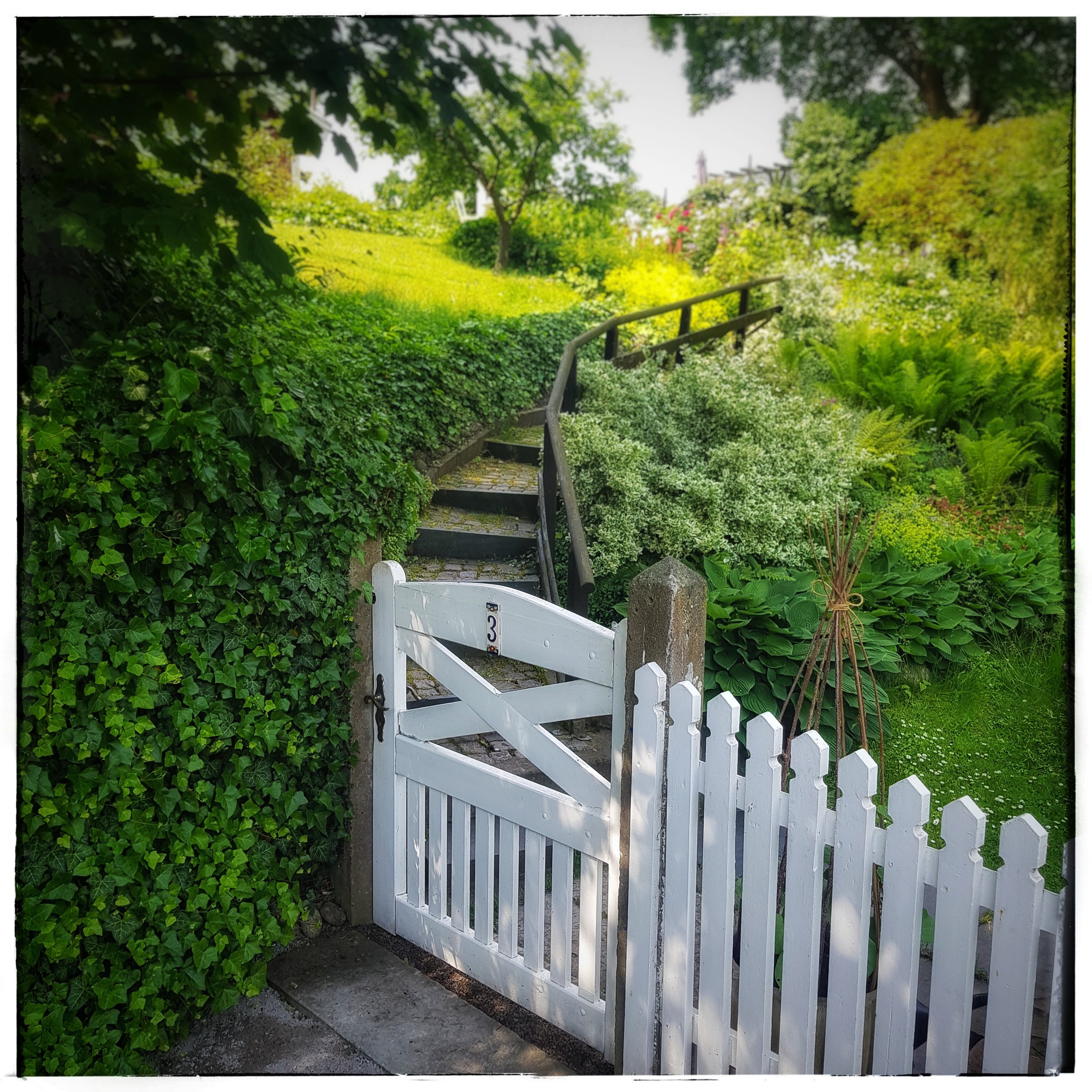 Day 170 - June 19: Garden Gate