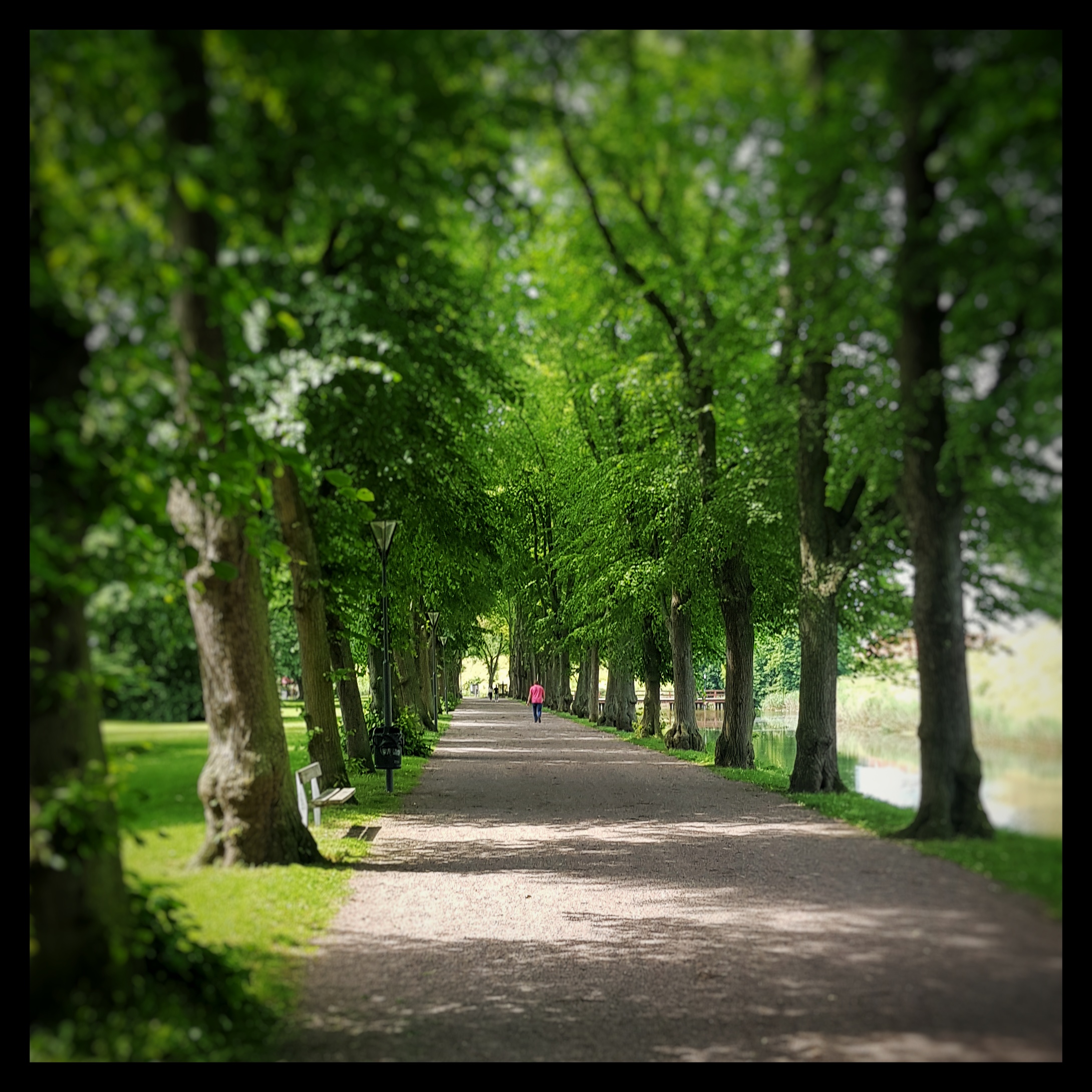 Day 183 - July 2: Park Life